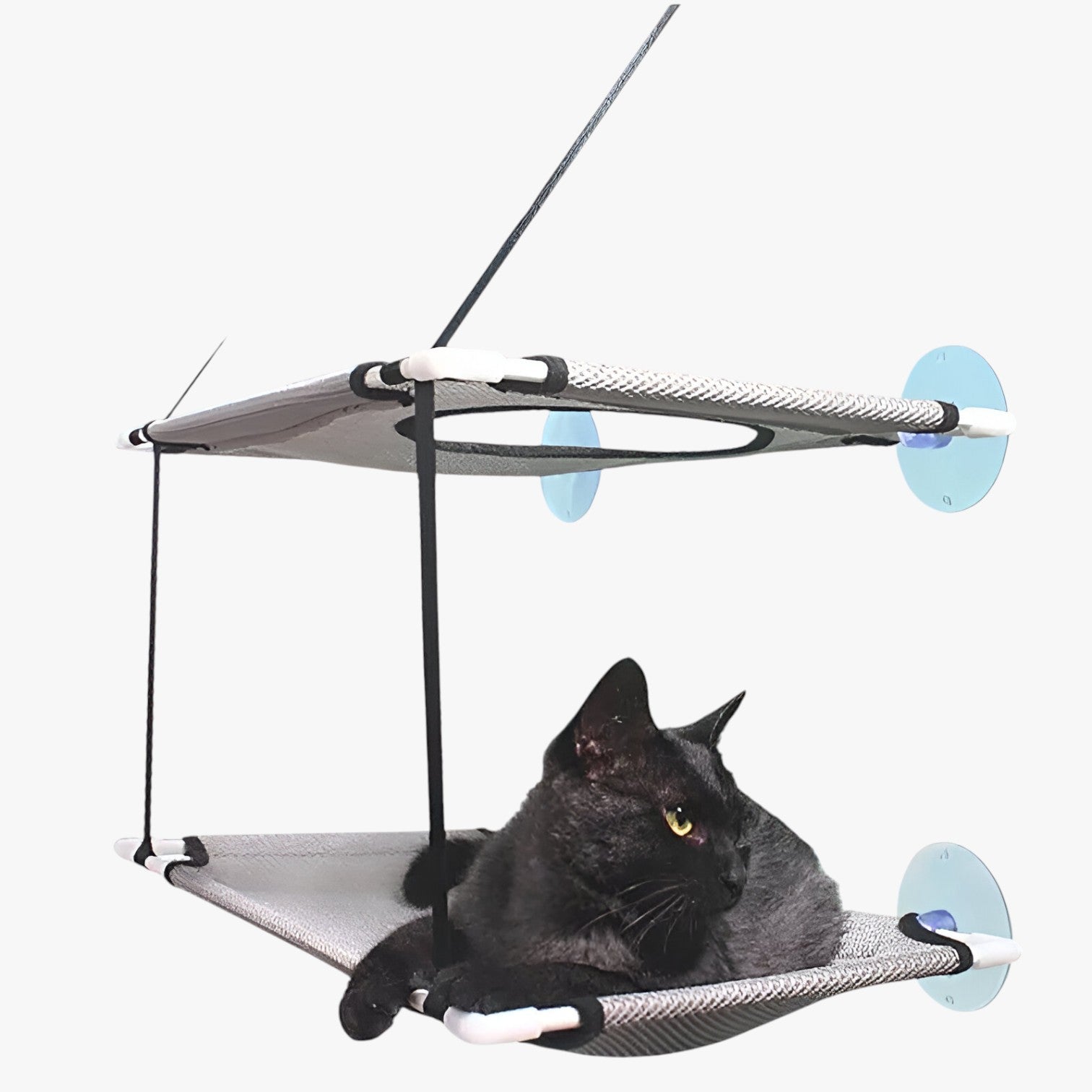 Lettiera per gatti Sunny Window - - gatti lettiera lettiera gatti pet PET SUPPLIES petproduct Pets pets & supplies sunny window - Concept Palermo