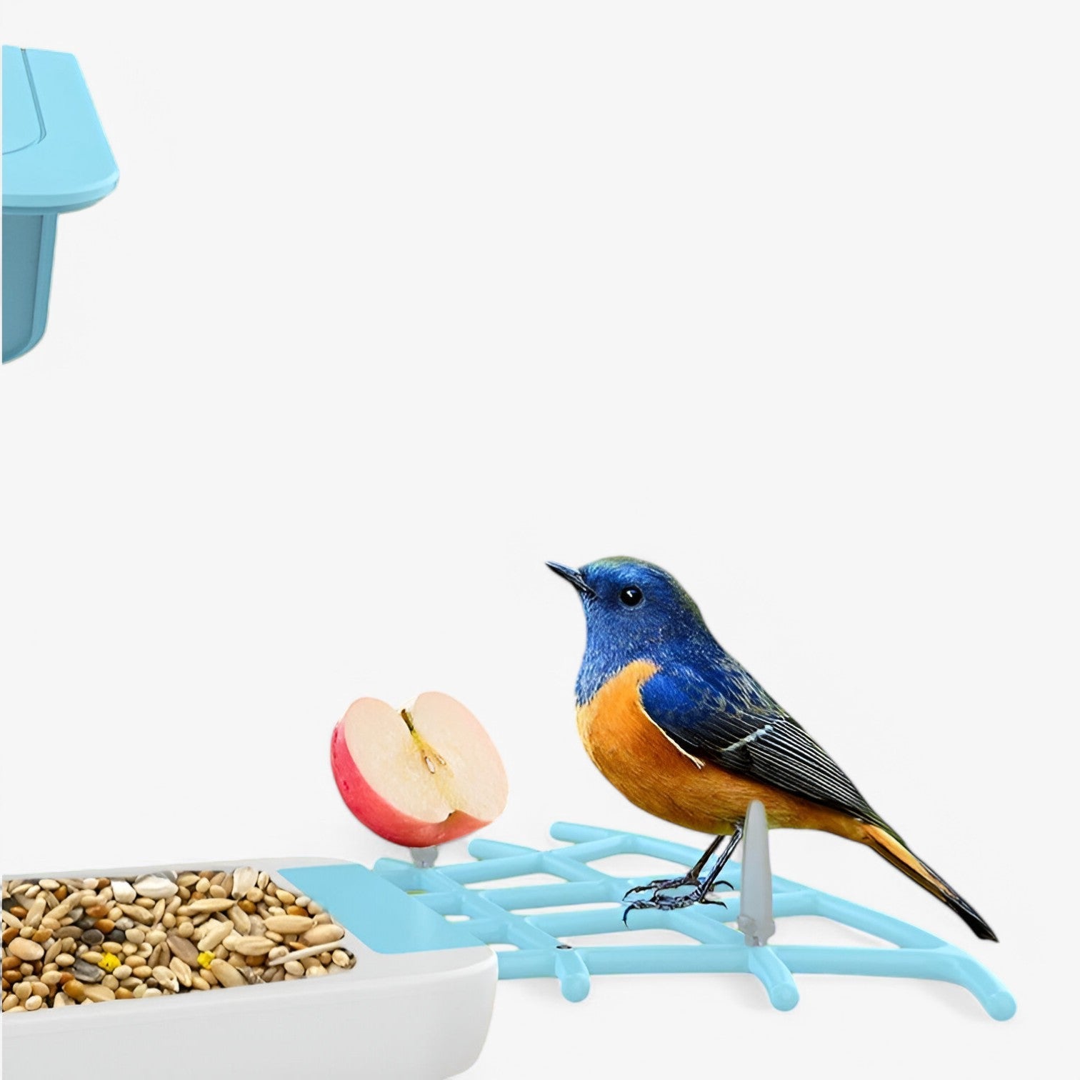 Sicurezza e Piacere per gli Uccelli – Telecamera solare con mangiatoia per uccelli - - camera gadget gadgets mangiatoia piacere sicurezza sicurezza piacere solare telecamera uccelli - Concept Palermo
