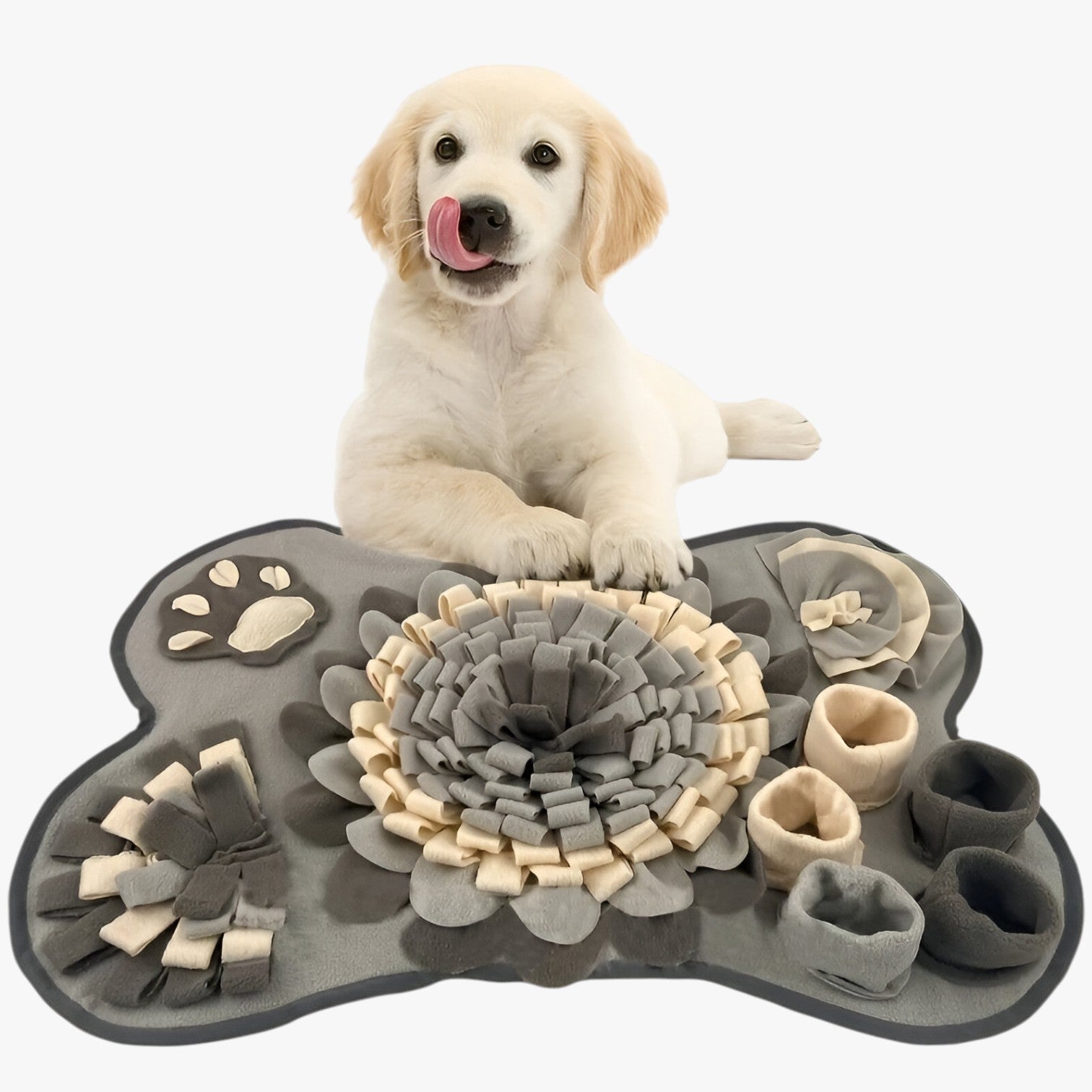 Tappetino da Annusare Interattivo per Cani - - annusare cani interattivo PET SUPPLIES petproduct Pets sparky | tappetino da annusare interattivo per cani - €25 tappetino tappetino annusare - Concept Palermo