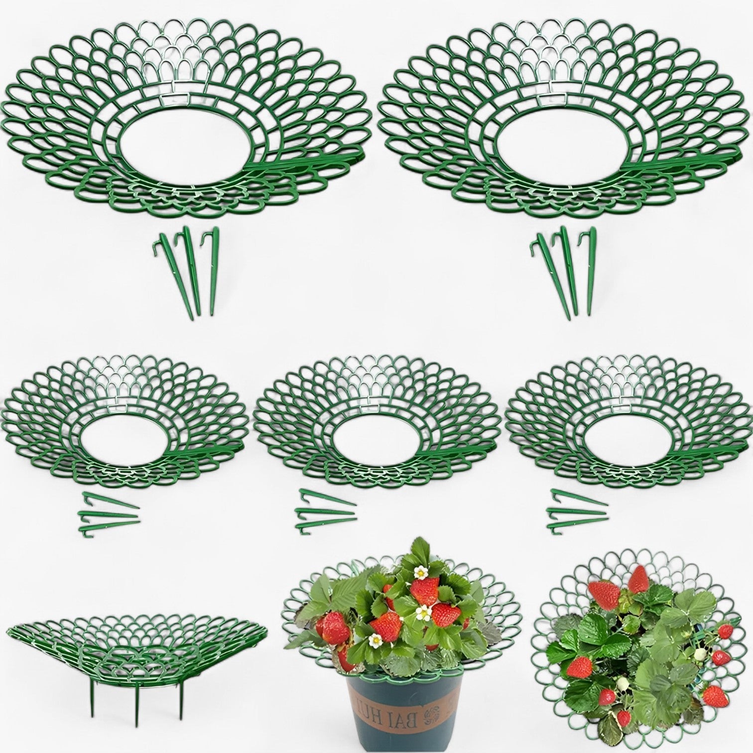 Supporti per piante di fragola per una crescita sana Uomo - - crescita fragola garden Garden accessories Garden supplies Home & Garden piante sana supporti supporti piante uomo - Concept Palermo