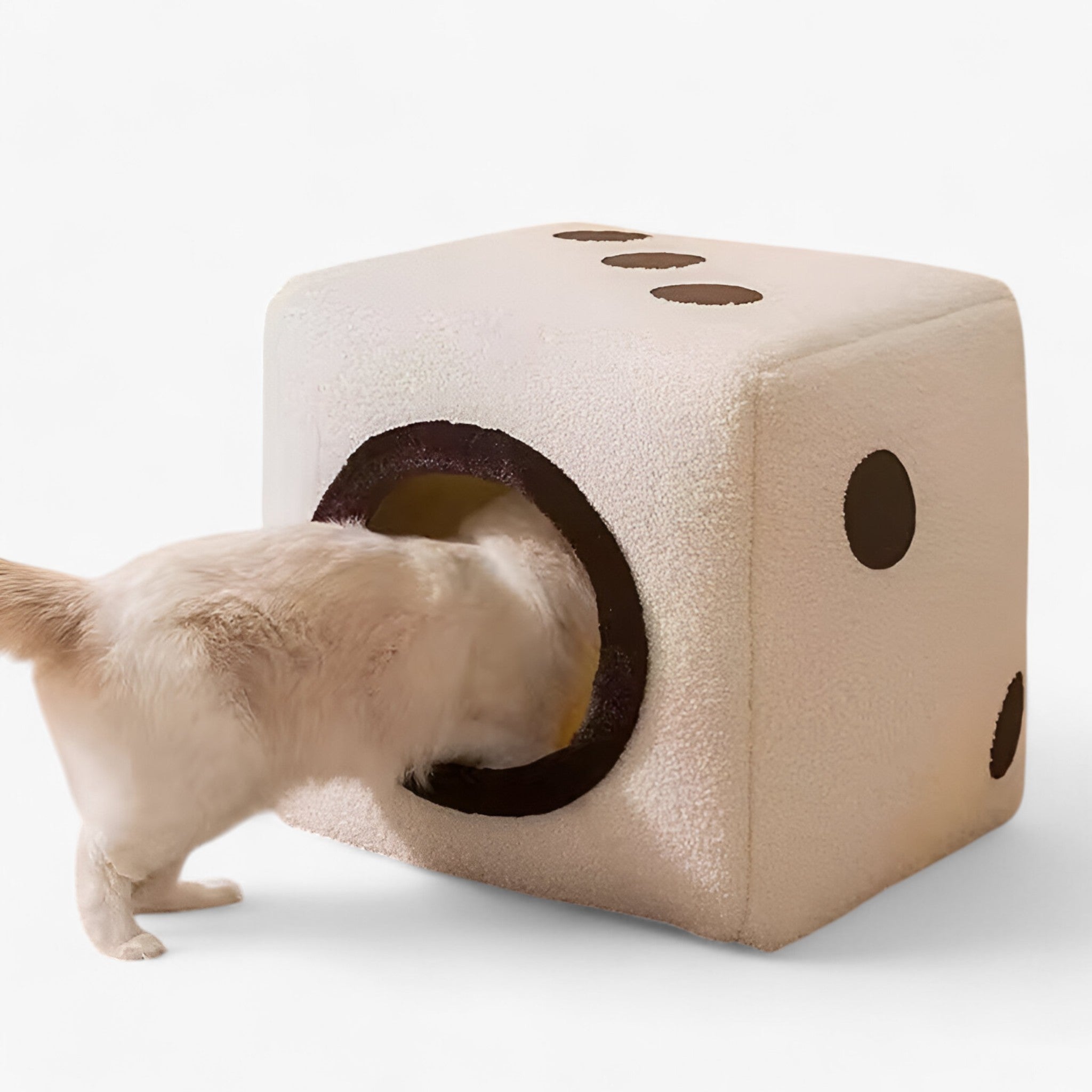 Casa per Gatti a Doppia Faccia – Nido Caldo, Morbido e Pieghevole Uomo - - caldo casa casa gatti doppia faccia gatti nido pets & supplies - Concept Palermo