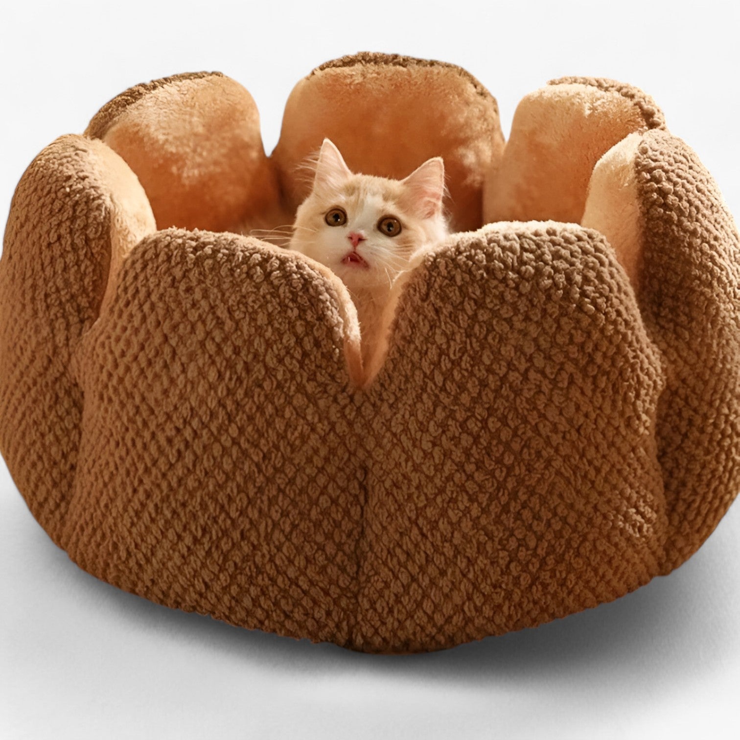 Cuccia Rotonda Morbida in Peluche Lavabile per Gatti e Cuccioli, Letto Caldo e Confortevole - - accogliente caldo caldo accogliente cuccioli gatti pet pet bed PET SUPPLIES pets & supplies uomo - Concept Palermo