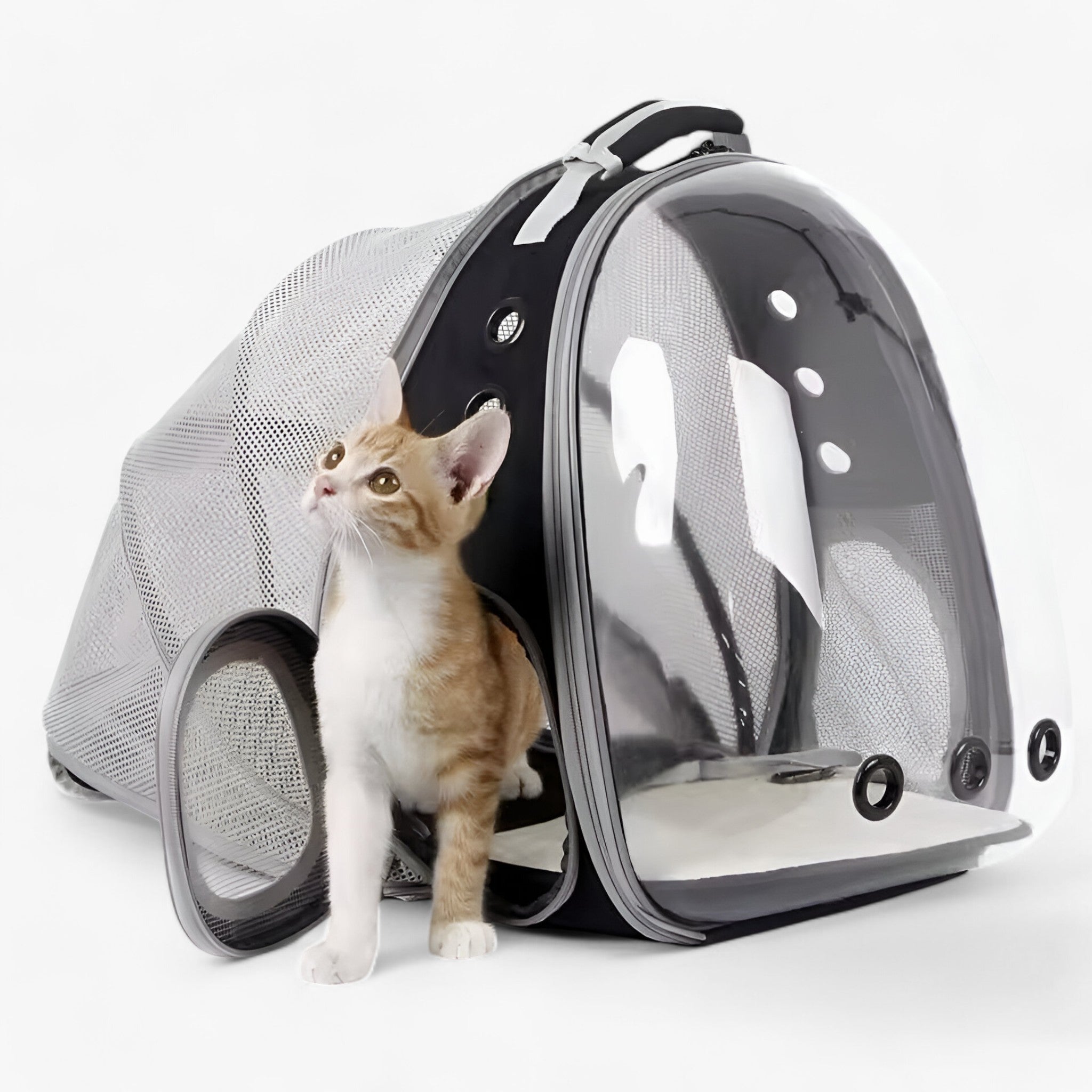 Zaino per gatti astronauta spazioso con finestra a bolla Uomo - - astronauta bolla finestra gatti pets & supplies spazioso uomo zaino - Concept Palermo