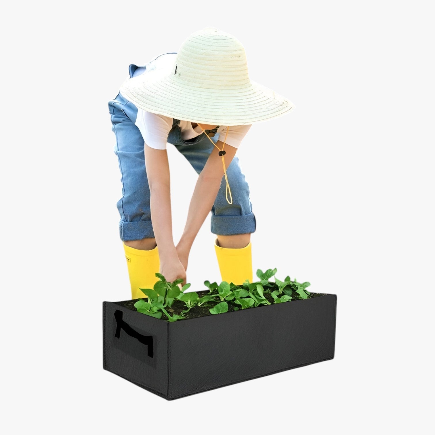Sacchetto per la Crescita da Gallone – Spazio-risparmiatore, durevole e sana crescita delle piante - - crescita gallone Garden Garden supplies Home & Garden piante risparmiatore sacchetto sacchetto crescita sana - Concept Palermo