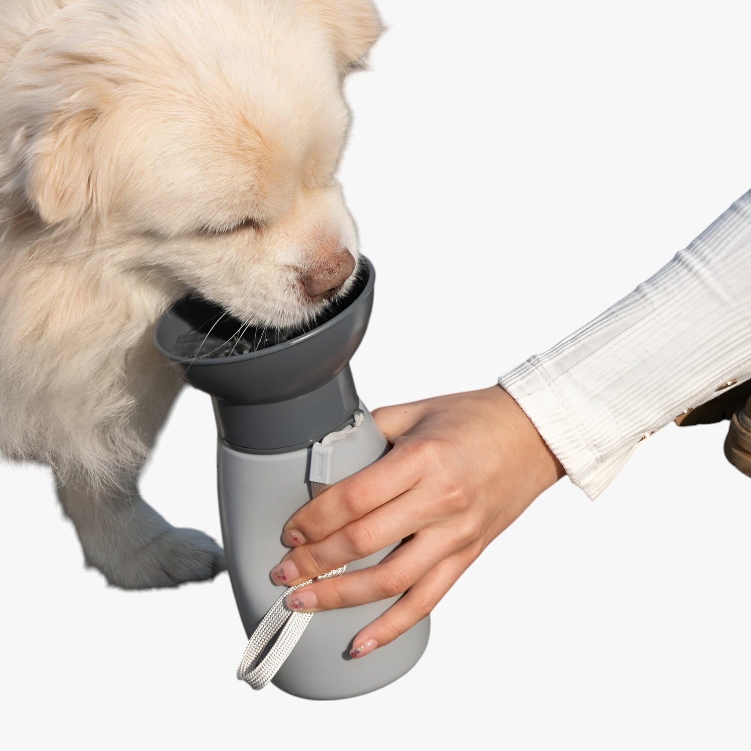 Borraccia Portatile per Cani e Gatti Dispenser d’Acqua da Esterno - - acqua borraccia borraccia portatile cani dispenser esterno gatti pet PET SUPPLIES petproduct Pets pets & supplies - Concept Palermo