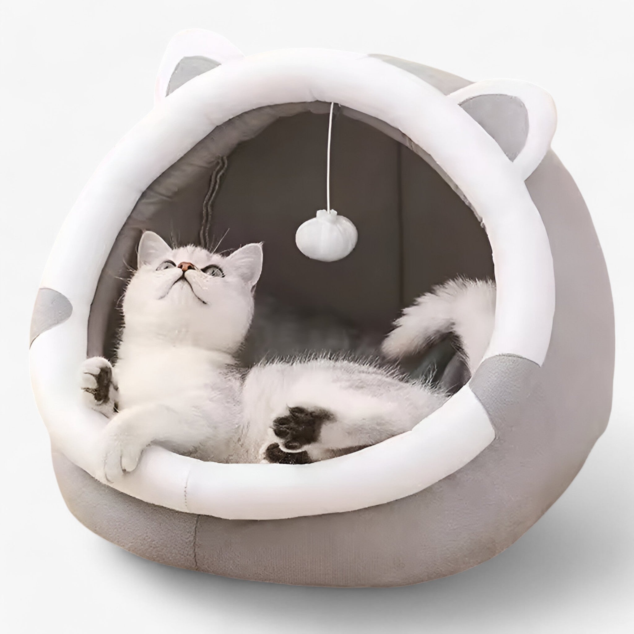 Letto per Gatti Knus e Caldo – Comfort per Tutte le Stagioni Uomo - - caldo comfort gatti knus letto letto gatti pets & supplies stagioni - Concept Palermo