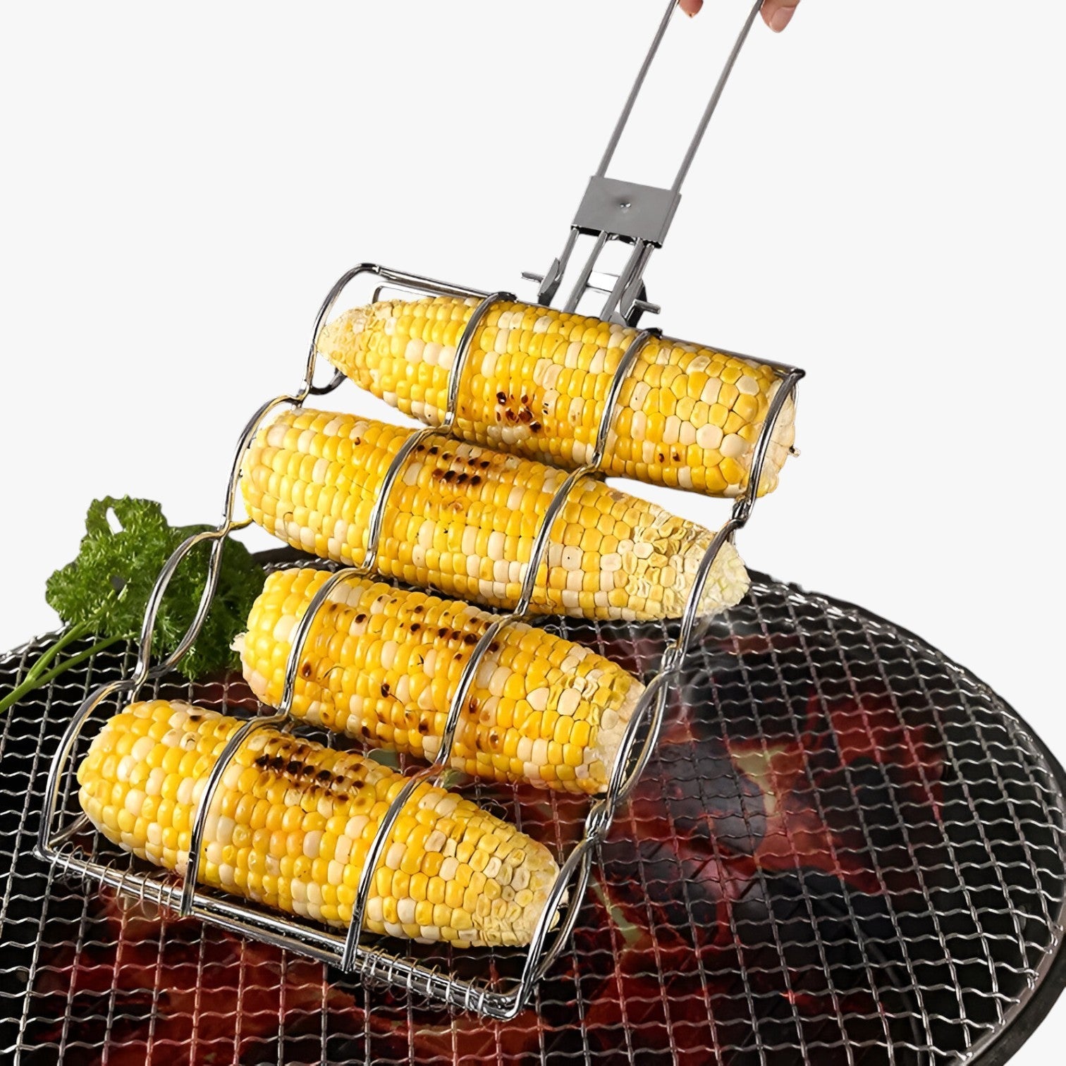 Griglia per mais pieghevole – Cottura e facile da trasportare Uomo - - cottura facile griglia griglia mais Kitchen kitchen & dining kitchen accessory kitchen tools mais pieghevole trasportare - Concept Palermo