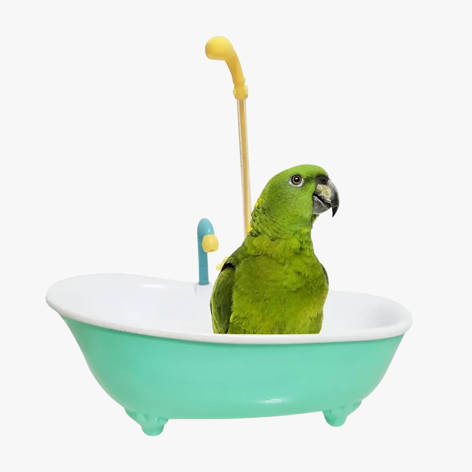 Vasca per uccelli slim e automatica – Fresca, giocosa e senza preoccupazioni per la pulizia - - automatica bird bird bath birdproduct fresca giocosa pet PET SUPPLIES pets & supplies preoccupazioni pulizia slim uccelli - Concept Palermo
