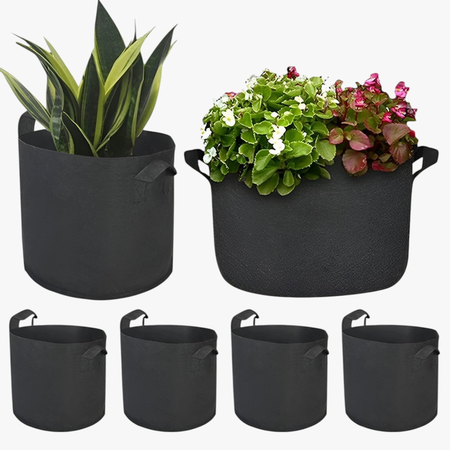 Sacco di coltivazione salvaspazio – Piante sane, facili da coltivare - - coltivare coltivazione facili Garden Garden supplies Home & Garden piante sacco sacco coltivazione salvaspazio - Concept Palermo