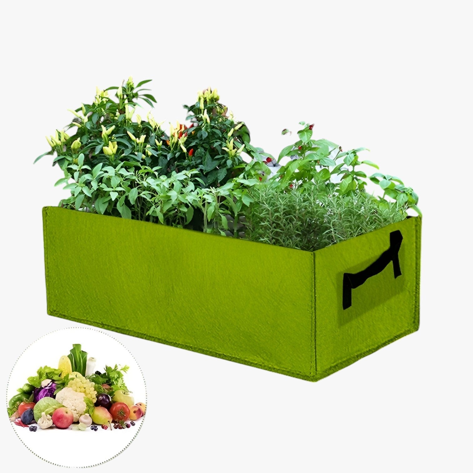 Sacchetto per la Crescita da Gallone – Spazio-risparmiatore, durevole e sana crescita delle piante - - crescita gallone Garden Garden supplies Home & Garden piante risparmiatore sacchetto sacchetto crescita sana - Concept Palermo