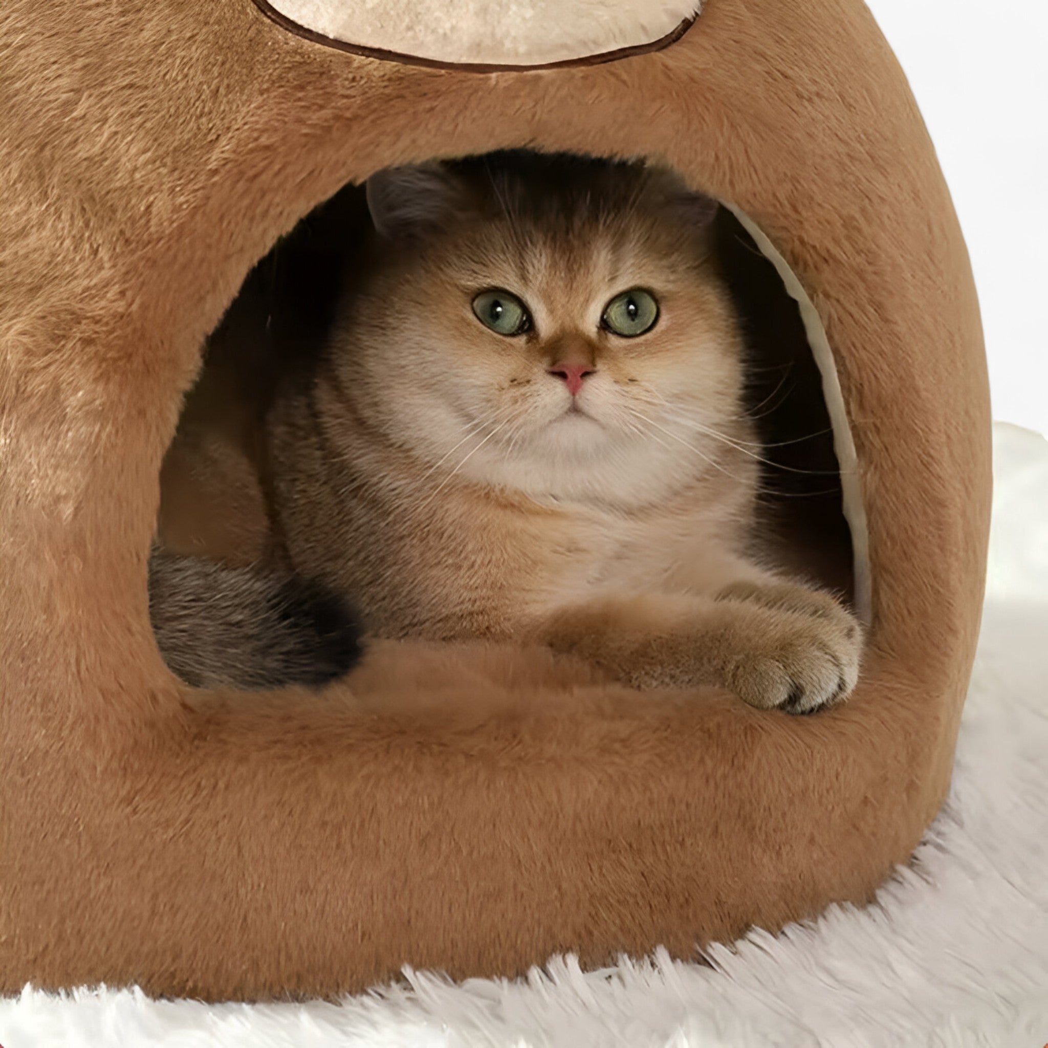 Letto per Gatti a Cerchio – Caldo, Accogliente e Protettivo Nido Uomo - - accogliente caldo cerchio gatti letto letto gatti nido pets & supplies - Concept Palermo