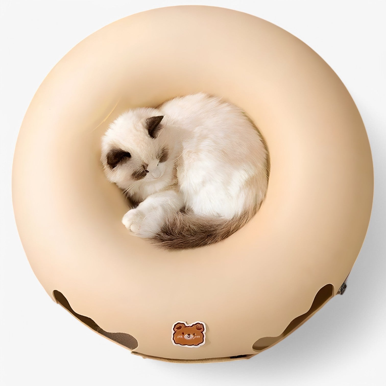 Letto per gatti interattivo schiccoso: giocare, rilassarsi e scoprire - - cat gatti giocare interattivo letto letto gatti pet PET SUPPLIES pets & supplies rilassarsi schiccoso - Concept Palermo