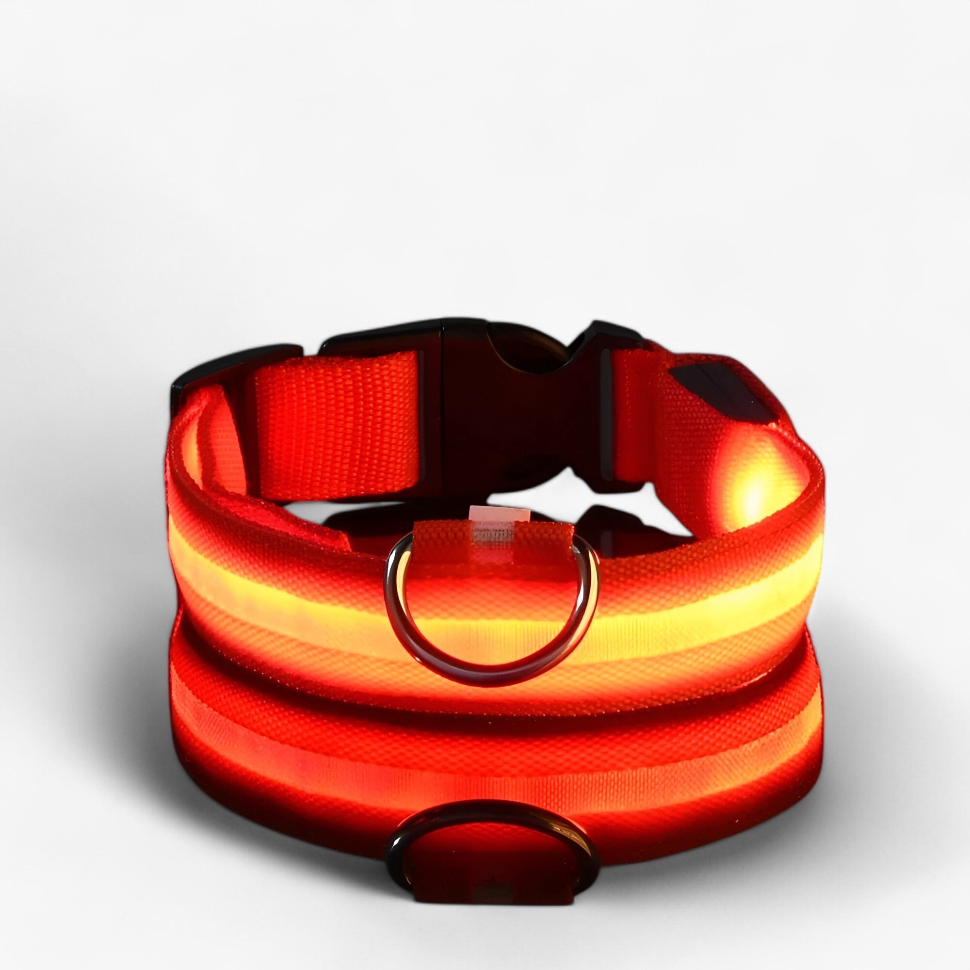 Collare LED per Cani Sicuro - Visibile al Buio - - buio cani collare collare cani Dog Collar DOG SUPPLIES Pet supplies pets & supplies sicuro visibile - Concept Palermo