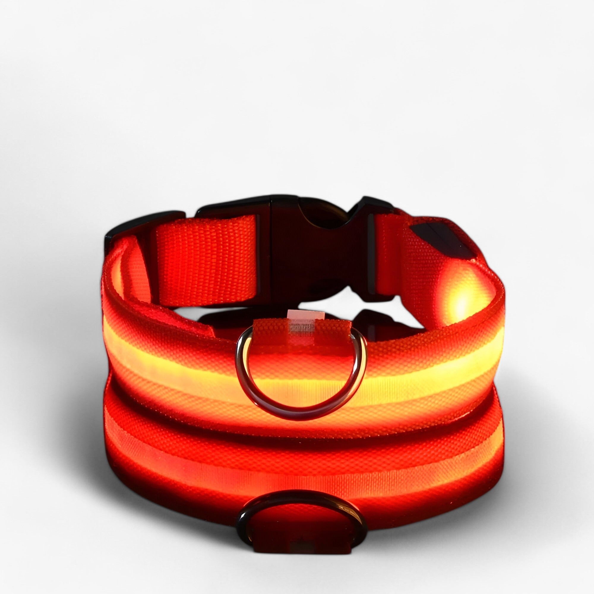 Collare LED per Cani Sicuro - Visibile al Buio - Rosso - buio cani collare collare cani Dog Collar DOG SUPPLIES Pet supplies pets & supplies sicuro visibile - Concept Palermo