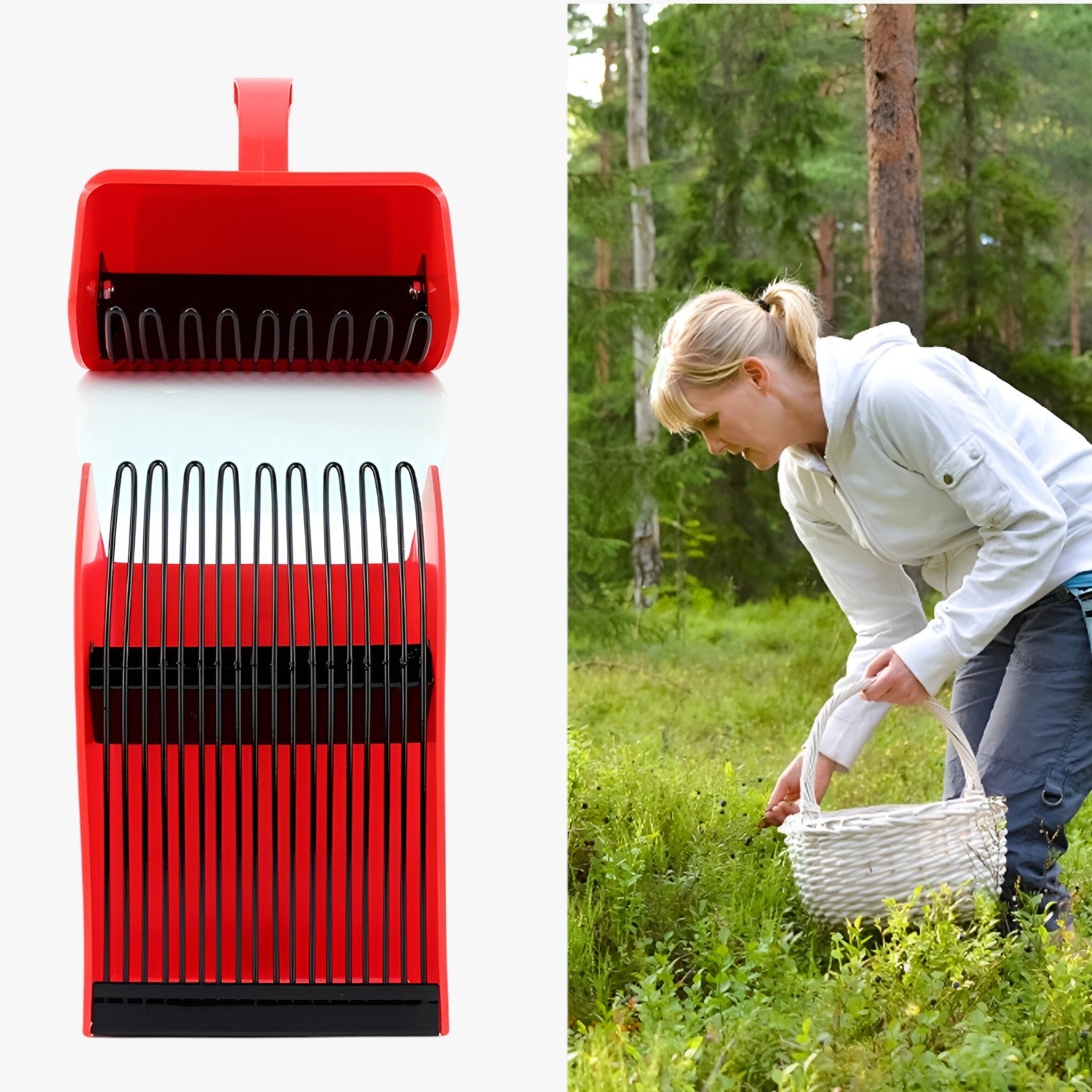 Raccoglitore di bacche ergonomico – Raccogliere in modo veloce e senza sforzo Uomo - - bacche ergonomico Garden Garden accessories Garden supplies Home & Garden modo raccogliere raccoglitore raccoglitore bacche sforzo - Concept Palermo