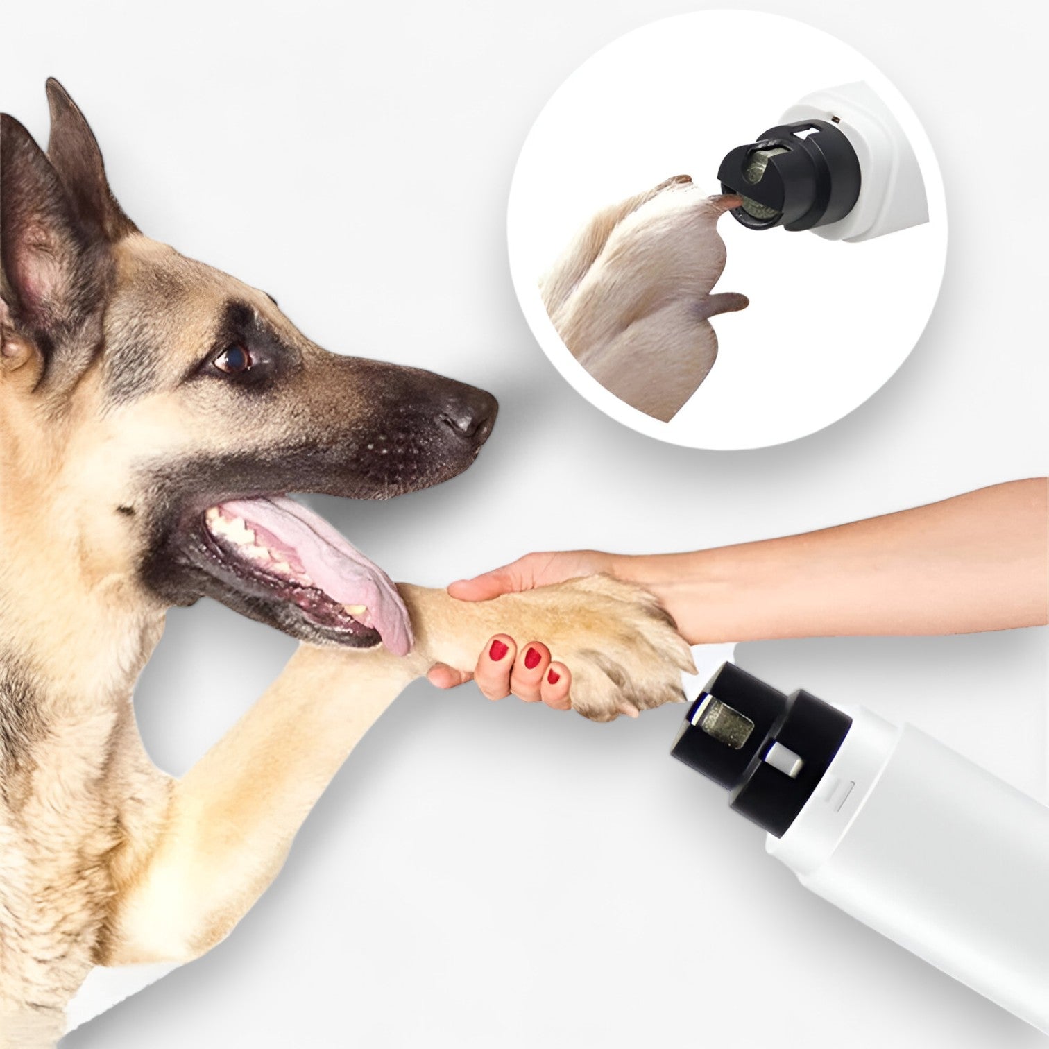 Tagliacapelli Elettrico con LED e Ricarica USB Uomo - - DOG SUPPLIES elettrico pet PET SUPPLIES pets & supplies ricarica tagliacapelli tagliacapelli elettrico uomo - Concept Palermo