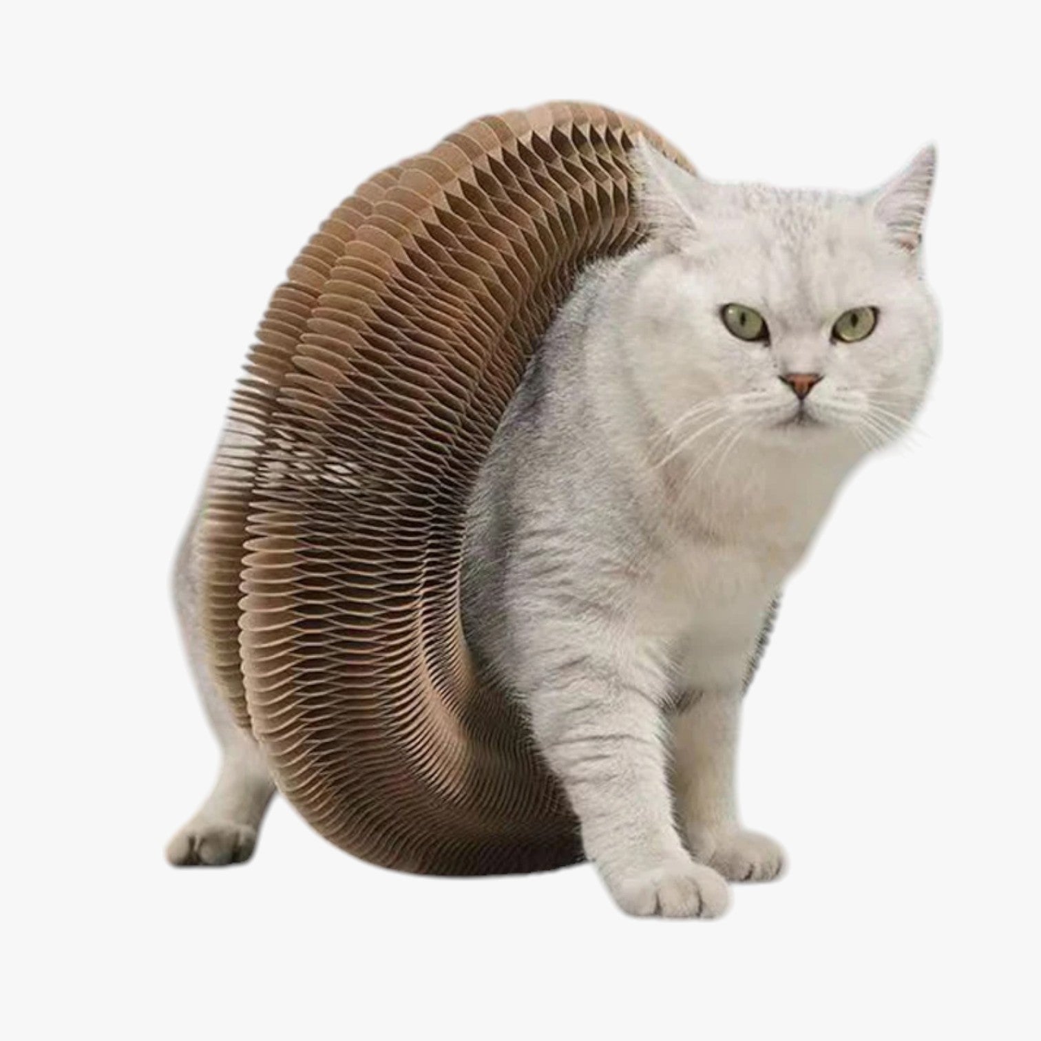 Gioco interattivo magico per gatti – Divertimento in ogni forma Uomo - - divertimento forma gatti gioco gioco interattivo interattivo magico ogni pet PET SUPPLIES - Concept Palermo