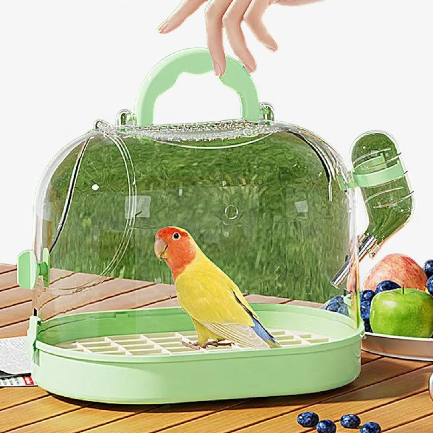 Gabbia per uccelli portatile – Confortevole e traspirante Uomo - - confortevole gabbia gabbia uccelli pet PET SUPPLIES pets & supplies portatile traspirante uccelli uomo - Concept Palermo