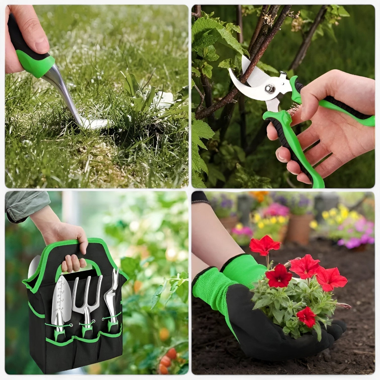 Set di forbici da potatura Stevige – Potatura precisa e senza sforzo Acciaio Uomo - - acciaio forbici forbici potatura home & garden Kitchen kitchen accessory kitchen tools potatura precisa sforzo stevige - Concept Palermo