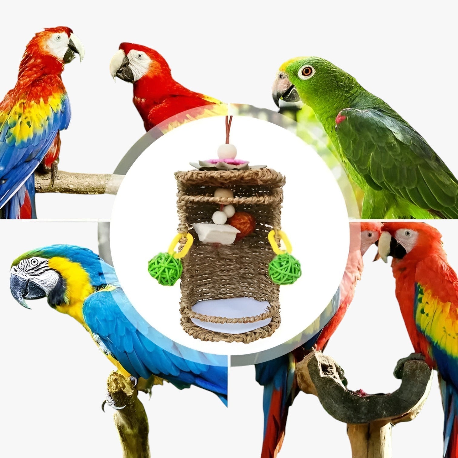 Accogliente rifugio per uccelli – Spazio nido e gioco confortevole - - accogliente accogliente rifugio bird bird house birdproduct confortevole gioco nido pets & supplies rifugio spazio - Concept Palermo