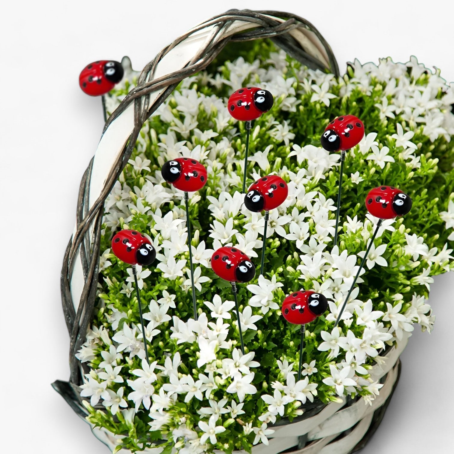 Stecche da Giardino a forma di Coccinella - - coccinella forma garden Garden accessories Garden supplies giardino Home & Garden stecche stecche giardino - Concept Palermo