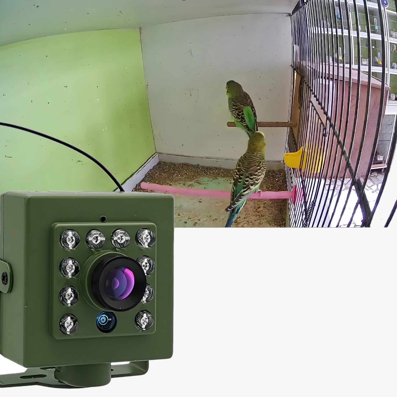 Telecamera WiFi con visione notturna e audio Legno - - audio camera gadget gadgets legno notturna telecamera telecamera wifi visione wifi - Concept Palermo