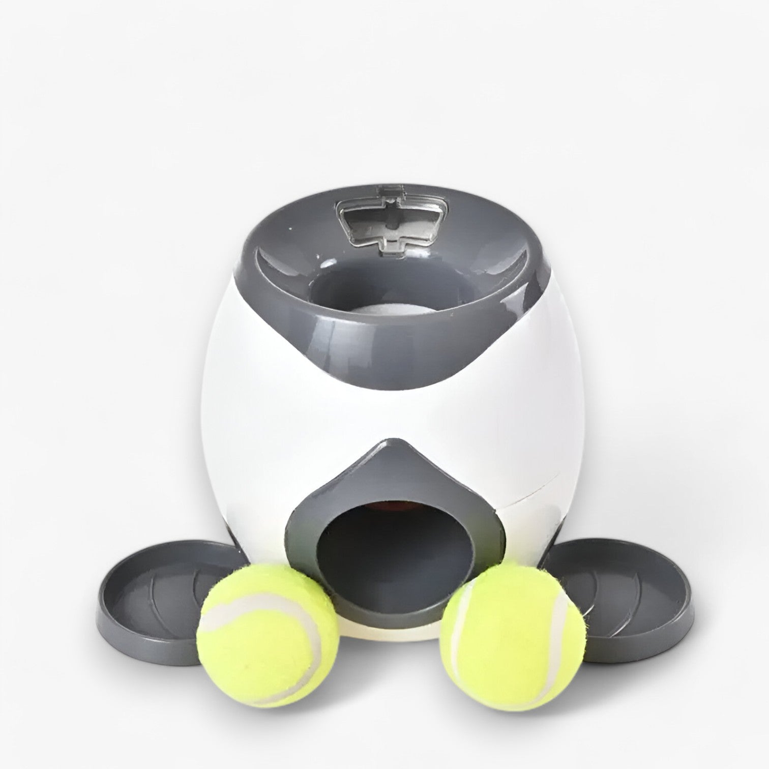 Distributore Intelligente di Tennis e Snack per Cani Uomo - - cani distributore distributore intelligente intelligente pet pet accessories PET SUPPLIES pets & supplies snack tennis uomo - Concept Palermo