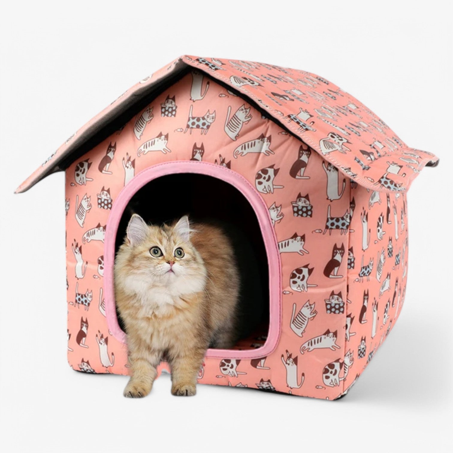 Casetta per gatti impermeabile – Calda e accogliente per esterni Uomo - - accogliente calda casetta casetta gatti dog DOG SUPPLIES esterni gatti impermeabile pets & supplies - Concept Palermo