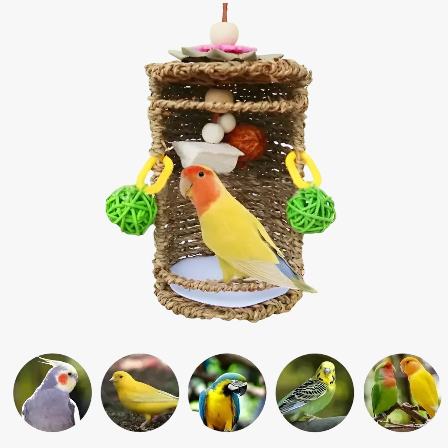 Accogliente rifugio per uccelli – Spazio nido e gioco confortevole - - accogliente accogliente rifugio bird bird house birdproduct confortevole gioco nido pets & supplies rifugio spazio - Concept Palermo