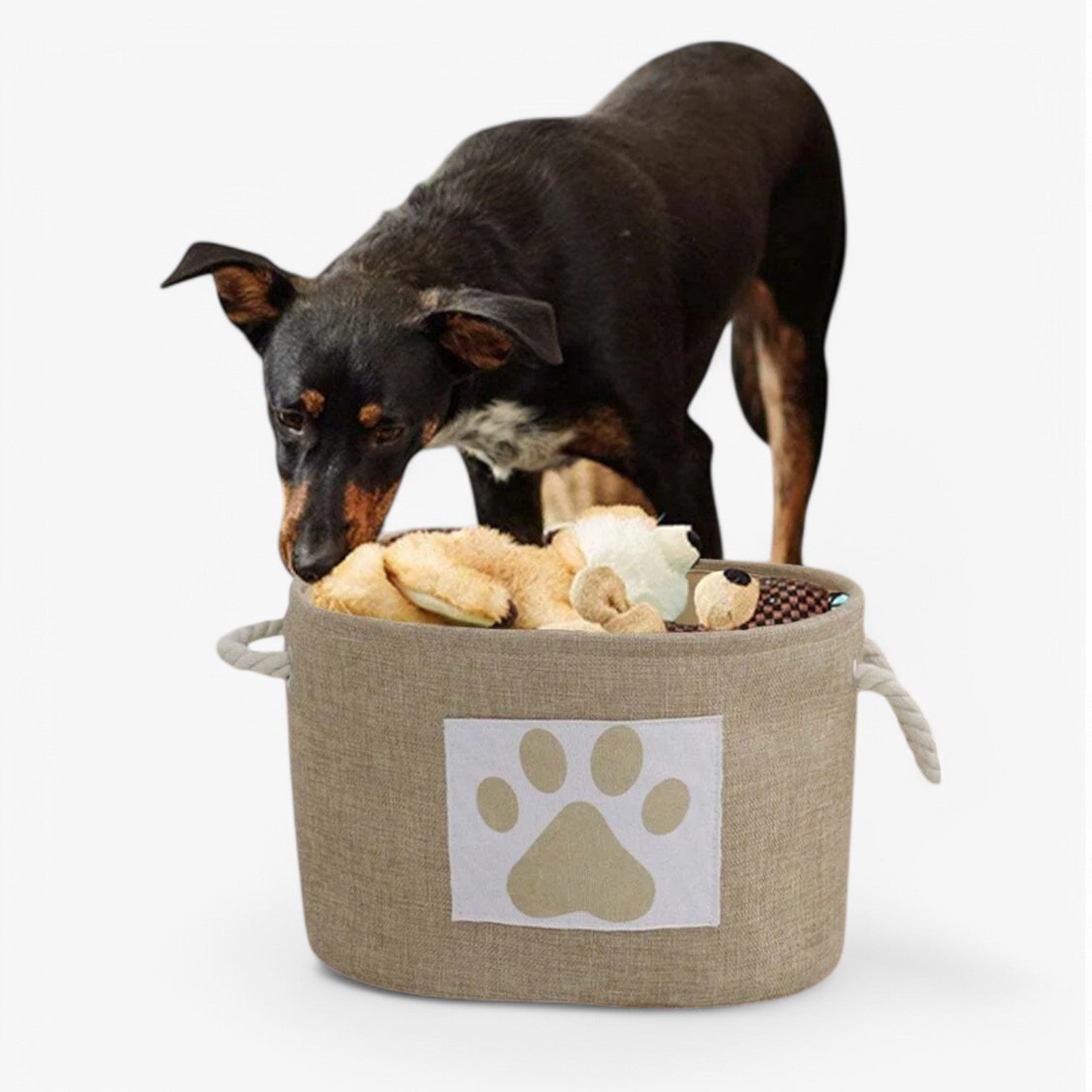 Cesto per giocattoli pieghevole con maniglia in legno Uomo - - cesto cesto giocattoli dog DOG SUPPLIES giocattoli legno maniglia pets & supplies pieghevole uomo - Concept Palermo