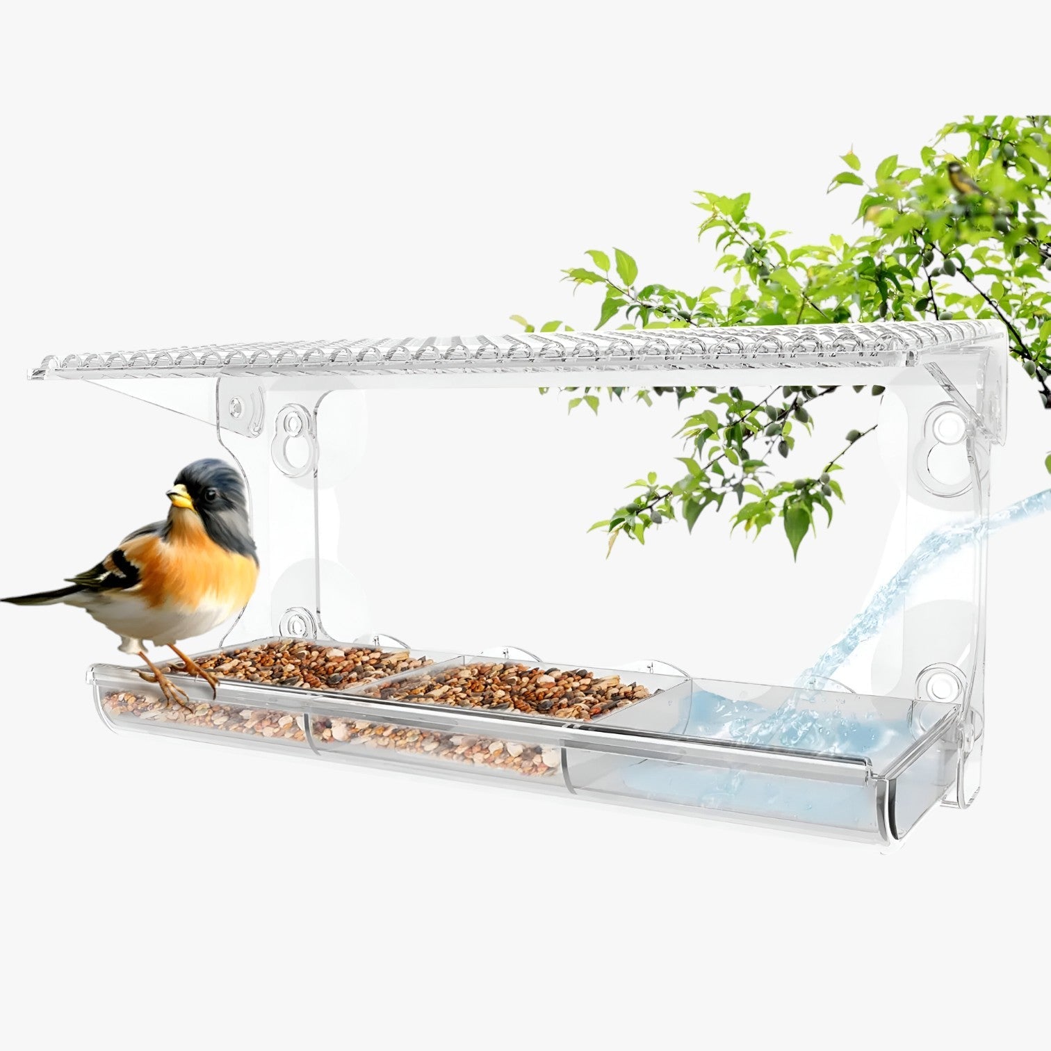 Casetta per uccelli trasparente – Goditi i uccelli da vicino nel tuo giardino Oro - - bird bird feeder birdproduct casetta casetta uccelli giardino goditi pet PET SUPPLIES pets & supplies trasparente uccelli vicino - Concept Palermo