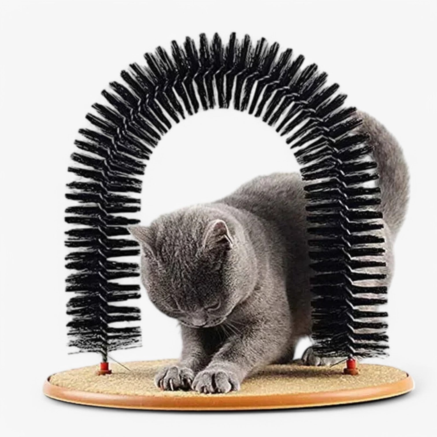 Cura, grattare e giocare in uno Uomo - - cura cura grattare giocare grattare pet pet accessories PET SUPPLIES pets & supplies uomo - Concept Palermo