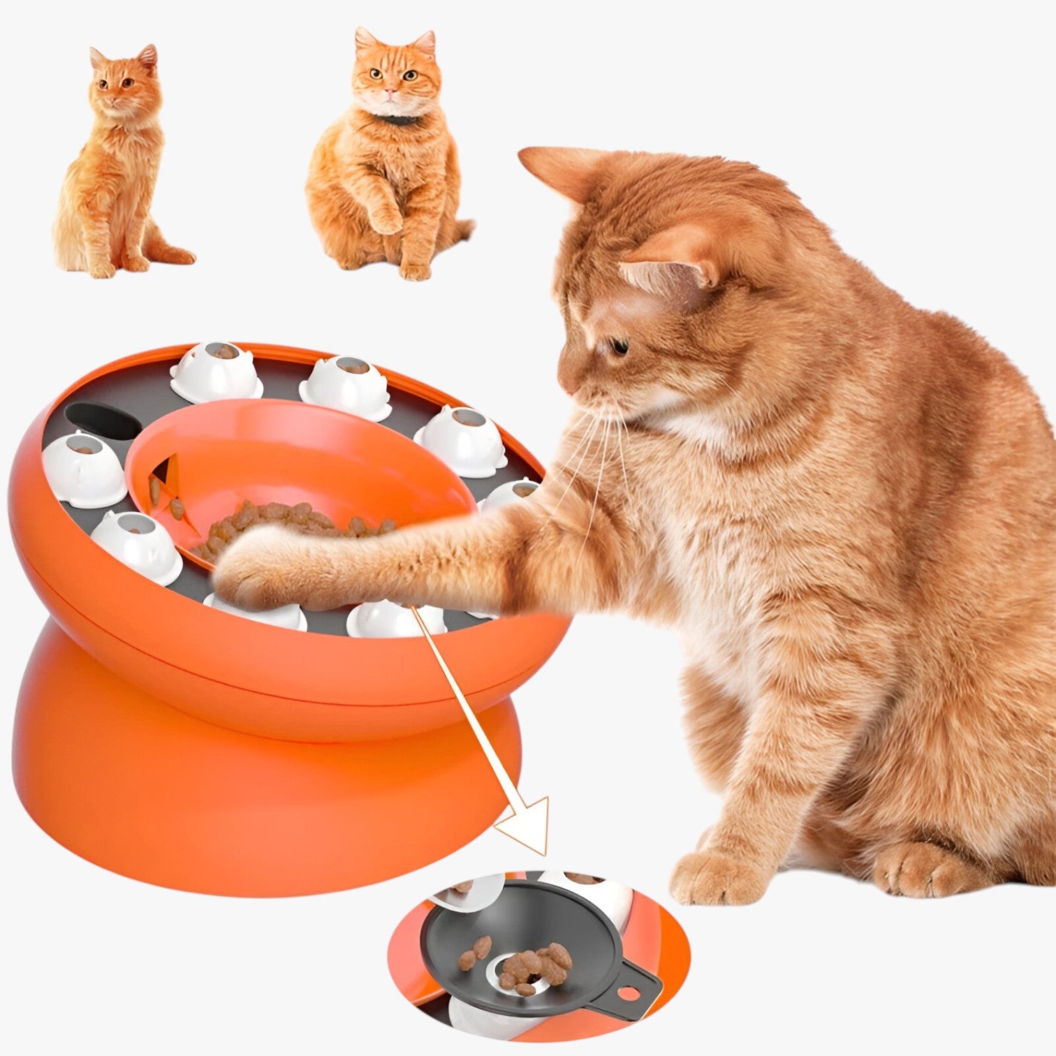 Ciotola Puzzle Inclinata per Gatti Alimentazione Lenta e Divertente - - alimentazione ciotola ciotola puzzle divertente gatti inclinata lenta pet PET SUPPLIES petproduct pets & supplies - Concept Palermo