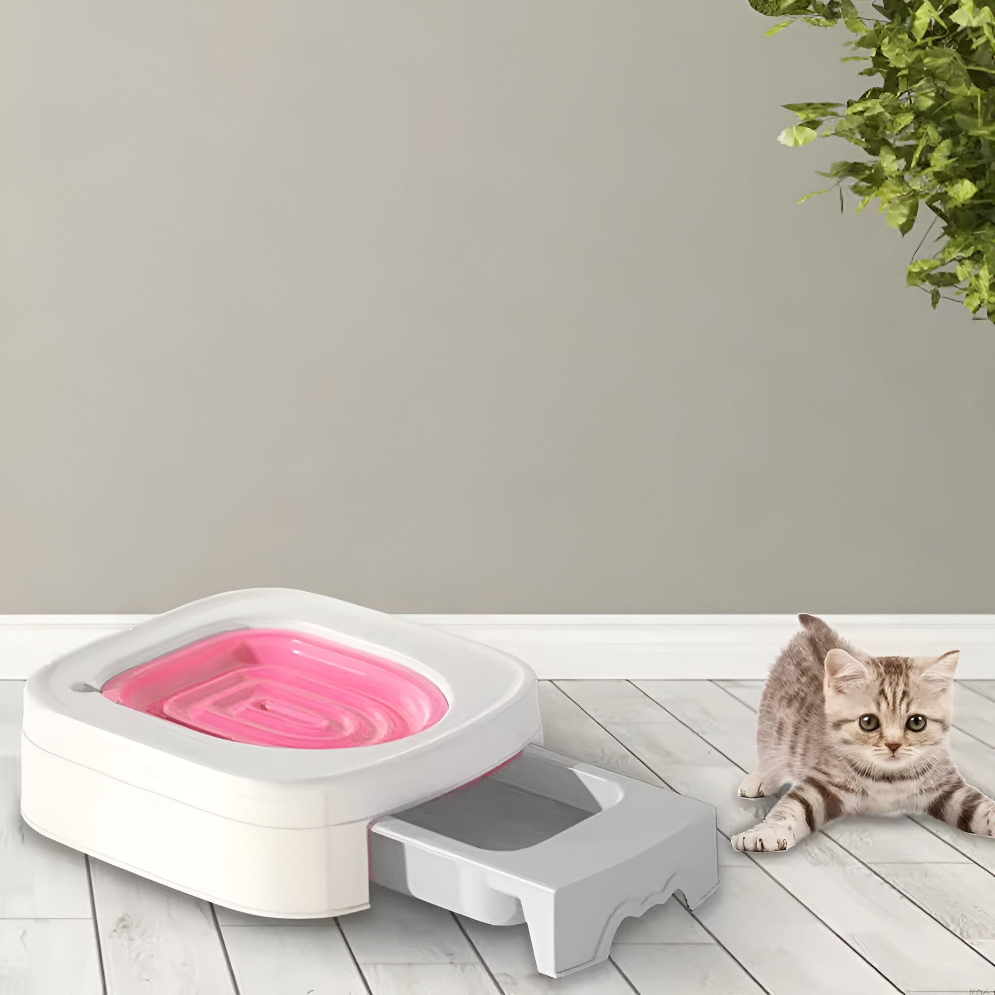 Set di addestramento per la toilette Kat Uomo - Rosa - addestramento addestramento toilette huisdieren katten pets & supplies toilette uomo - Concept Palermo
