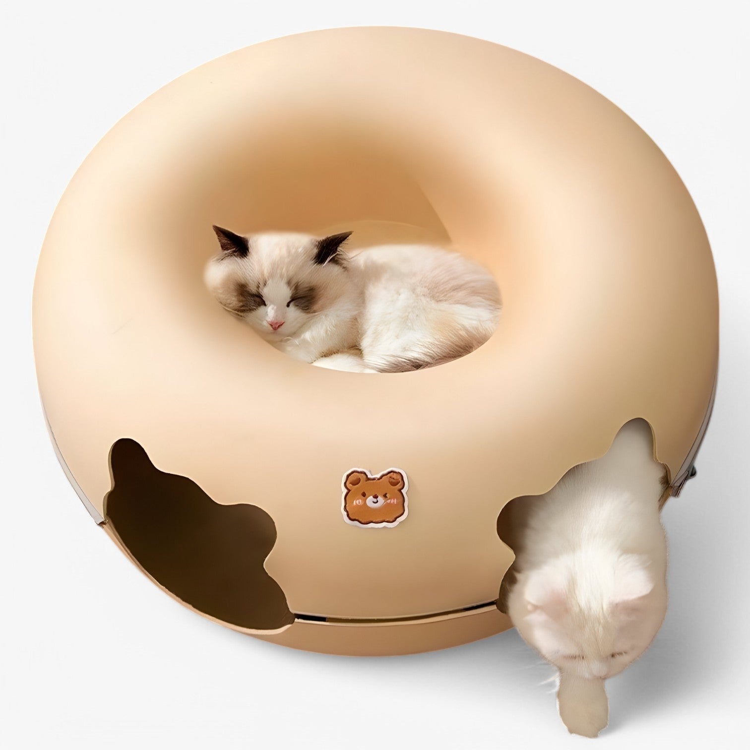 Letto per gatti interattivo schiccoso: giocare, rilassarsi e scoprire - - cat gatti giocare interattivo letto letto gatti pet PET SUPPLIES pets & supplies rilassarsi schiccoso - Concept Palermo
