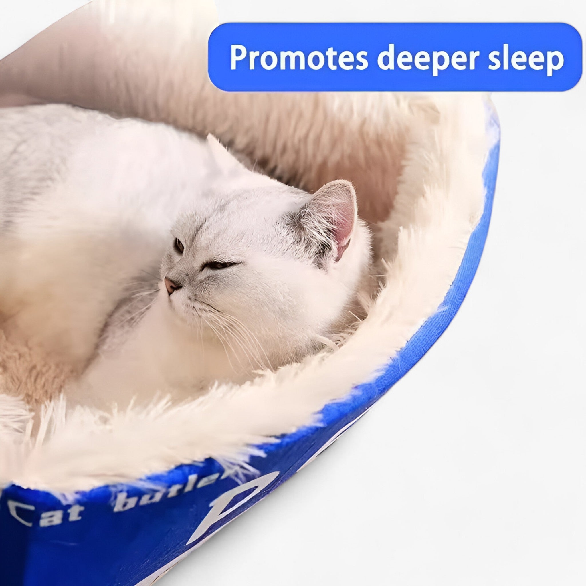 Letto per Gatti Completamente Chiuso – Posto Confortevole e Sicuro per Riposare Uomo - - chiuso completamente confortevole gatti letto letto gatti pets & supplies posto - Concept Palermo