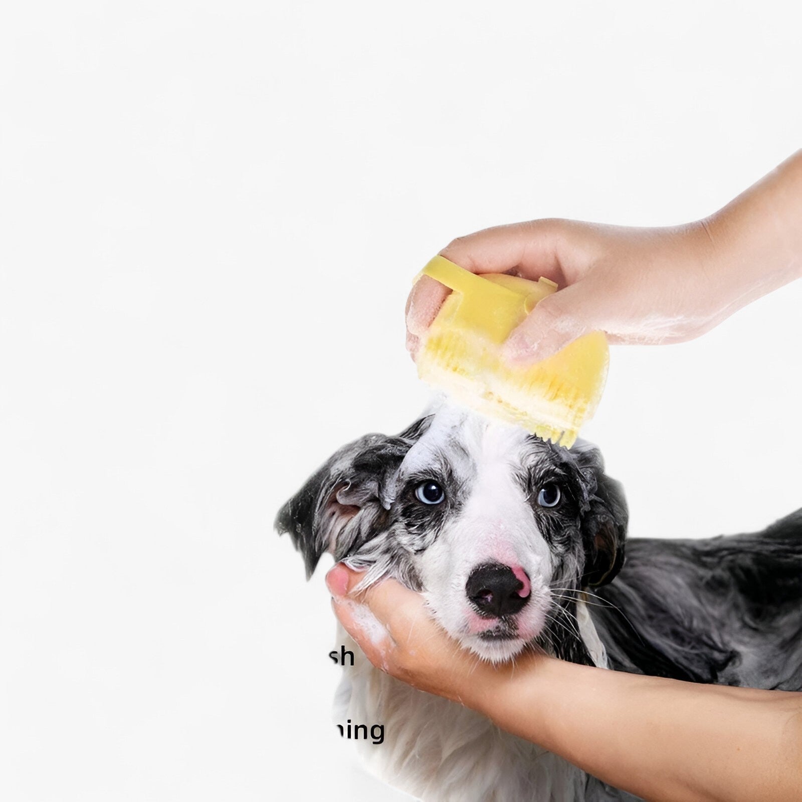 Morbido Spazzola da Massaggio in Silicone - Cura e Bagno Uomo - - bagno cura Dog massaggio Pet Care PET SUPPLIES pets & supplies silicone spazzola spazzola massaggio uomo - Concept Palermo