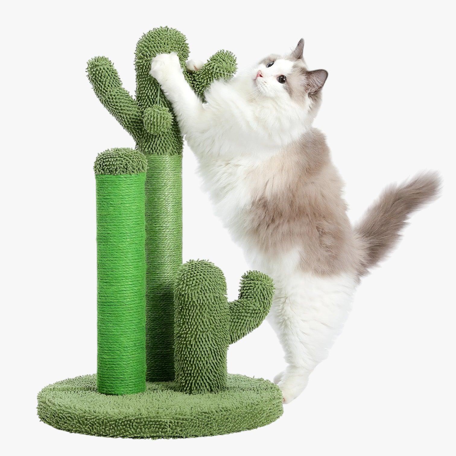 Cactus Scratch Fun Graffiatoio Interattivo a 3 Pali con Pallina Pendente - AMT0066GN - cactus cactus scratch graffiatoio interattivo mitzy | cactus scratch fun graffiatoio interattivo a 3 pali con pallina pendente - €25 pali pallina pendente pet PET SUPPLIES petproduct Pets - Concept Palermo