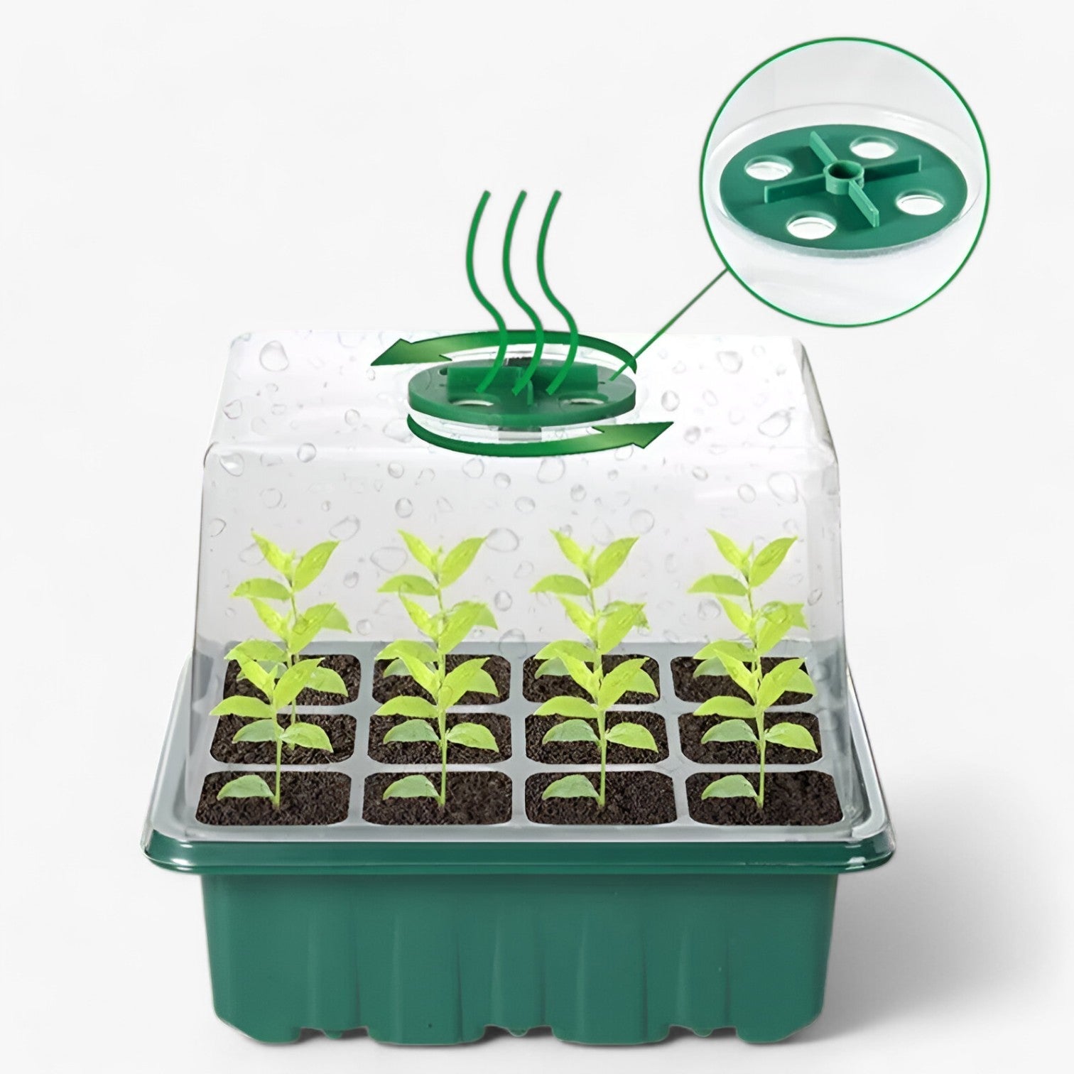 Piastra di partenza con coperchio – per giardinaggio e coltivazione indoor - - coltivazione coperchio giardinaggio home & garden home and garden indoor partenza piastra piastra partenza - Concept Palermo