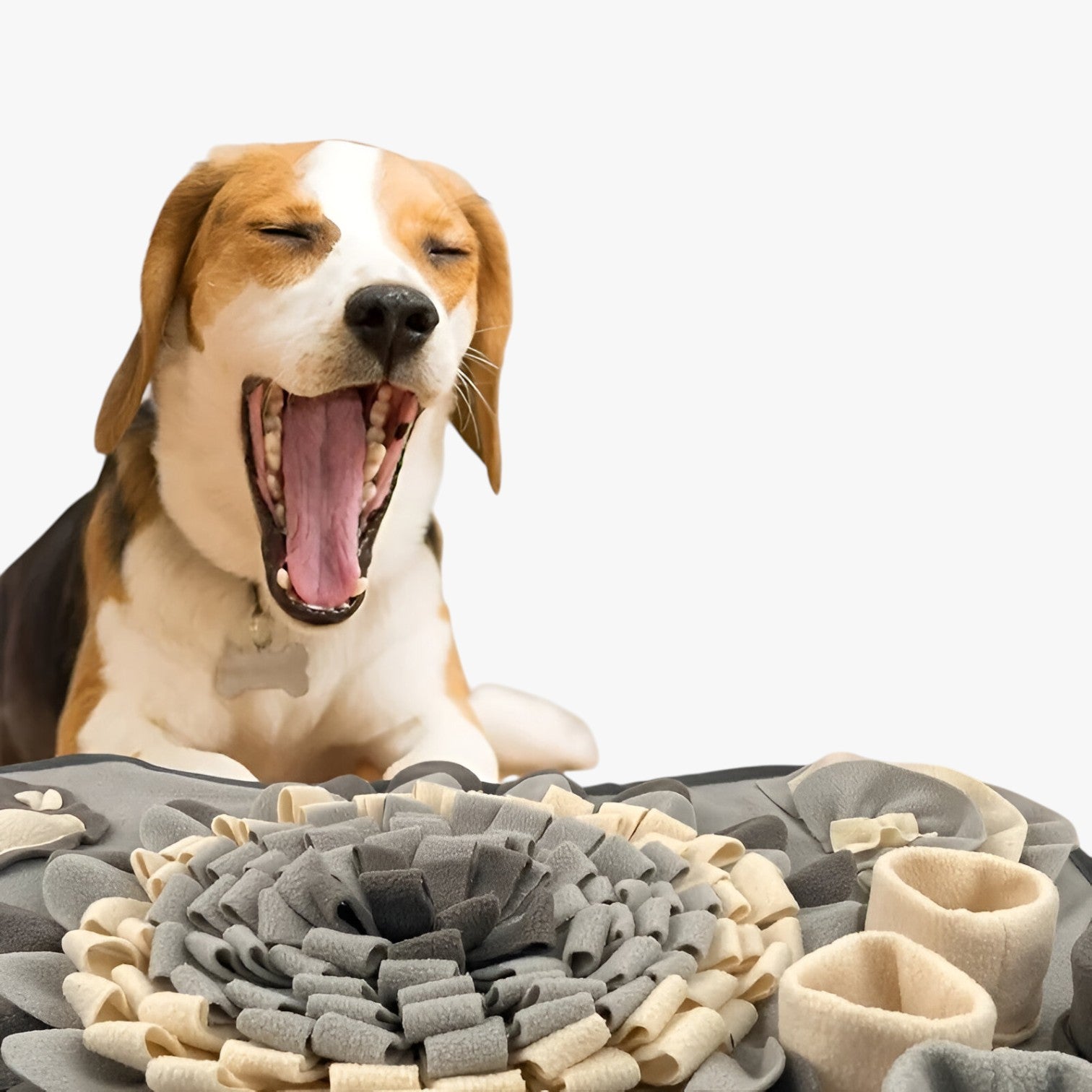 Tappetino da Annusare Interattivo per Cani - - annusare cani interattivo PET SUPPLIES petproduct Pets sparky | tappetino da annusare interattivo per cani - €25 tappetino tappetino annusare - Concept Palermo