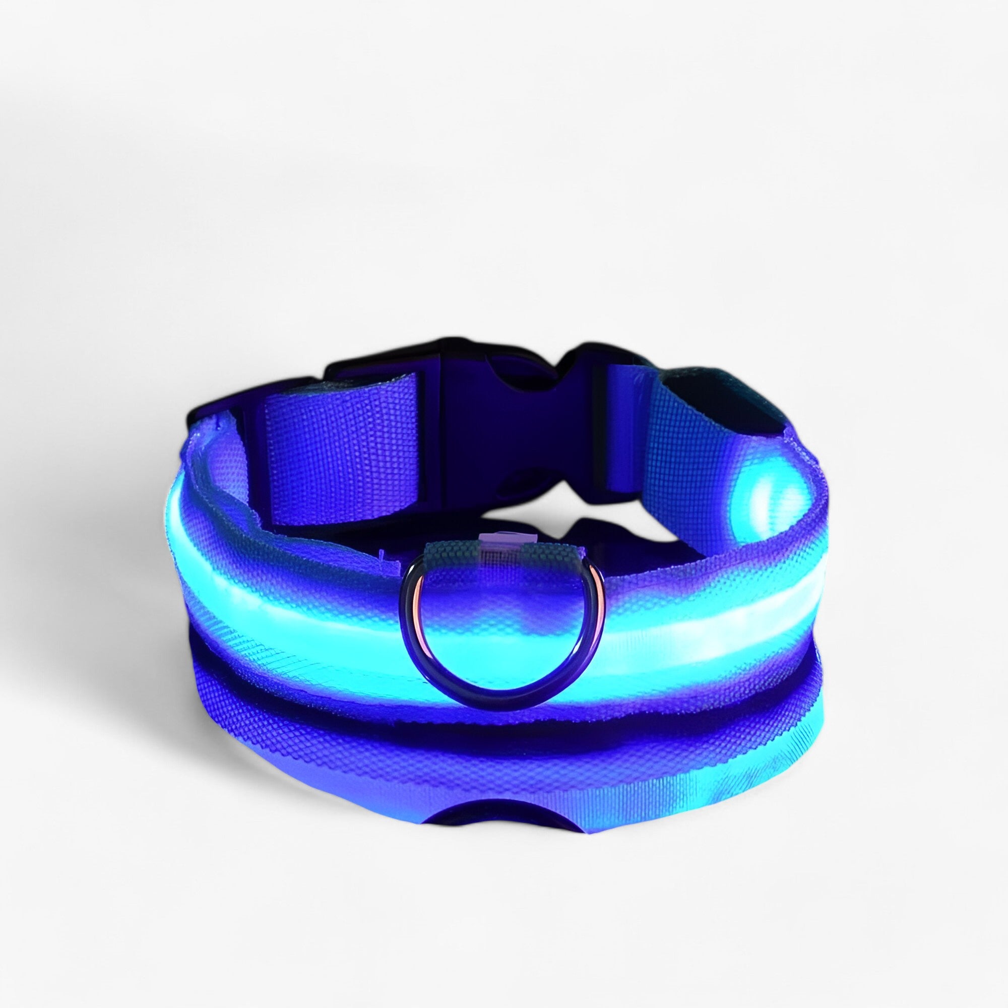 Collare LED per Cani Sicuro - Visibile al Buio - Blu - buio cani collare collare cani Dog Collar DOG SUPPLIES Pet supplies pets & supplies sicuro visibile - Concept Palermo