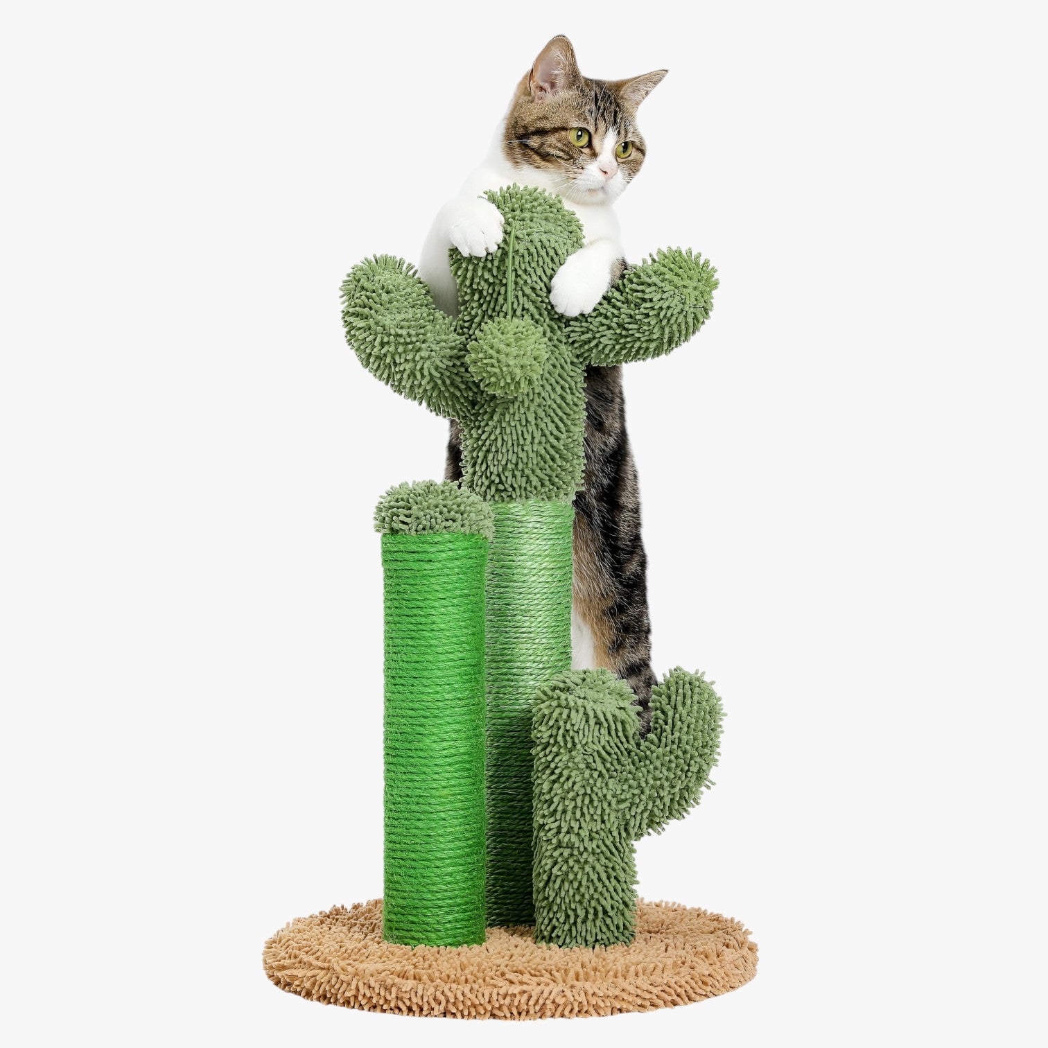 Cactus Scratch Fun Graffiatoio Interattivo a 3 Pali con Pallina Pendente - AMT0066BN - cactus cactus scratch graffiatoio interattivo mitzy | cactus scratch fun graffiatoio interattivo a 3 pali con pallina pendente - €25 pali pallina pendente pet PET SUPPLIES petproduct Pets - Concept Palermo