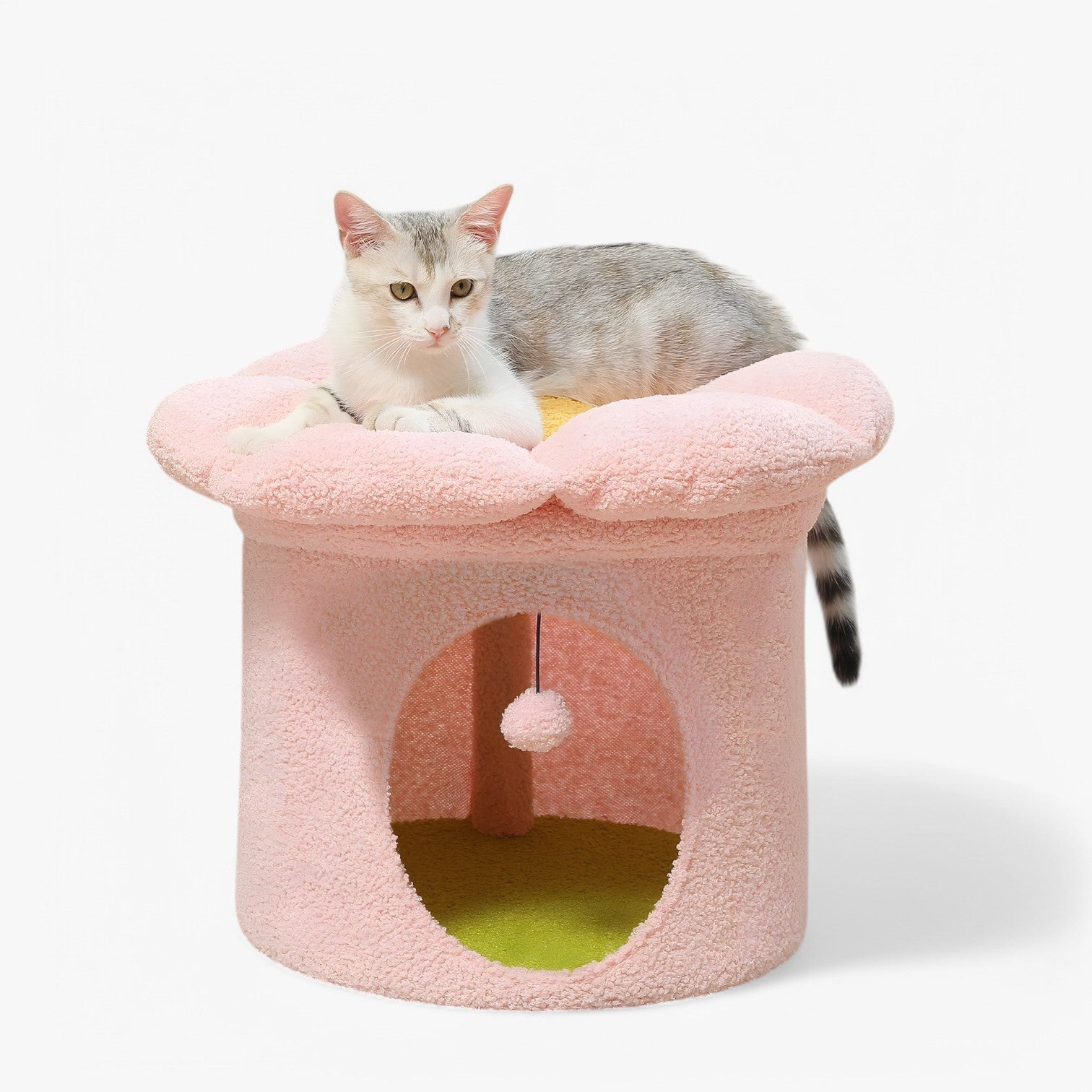 Rifugio per gatti carino con letto a fiori removibile - Rosa - carino cats fiori gatti letto pet PET SUPPLIES pets & supplies removibile rifugio rifugio gatti - Concept Palermo