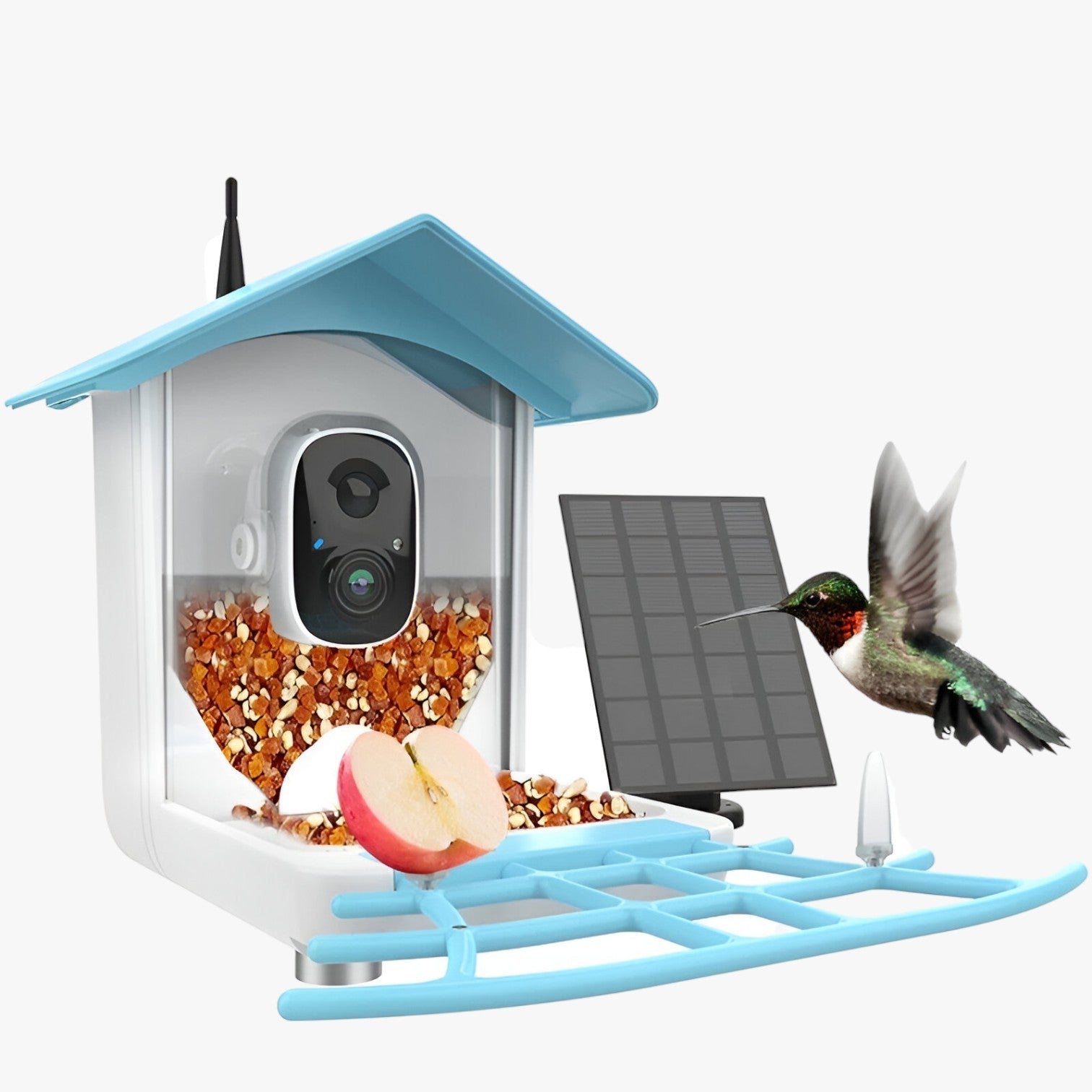 Sicurezza e Piacere per gli Uccelli – Telecamera solare con mangiatoia per uccelli - - camera gadget gadgets mangiatoia piacere sicurezza sicurezza piacere solare telecamera uccelli - Concept Palermo