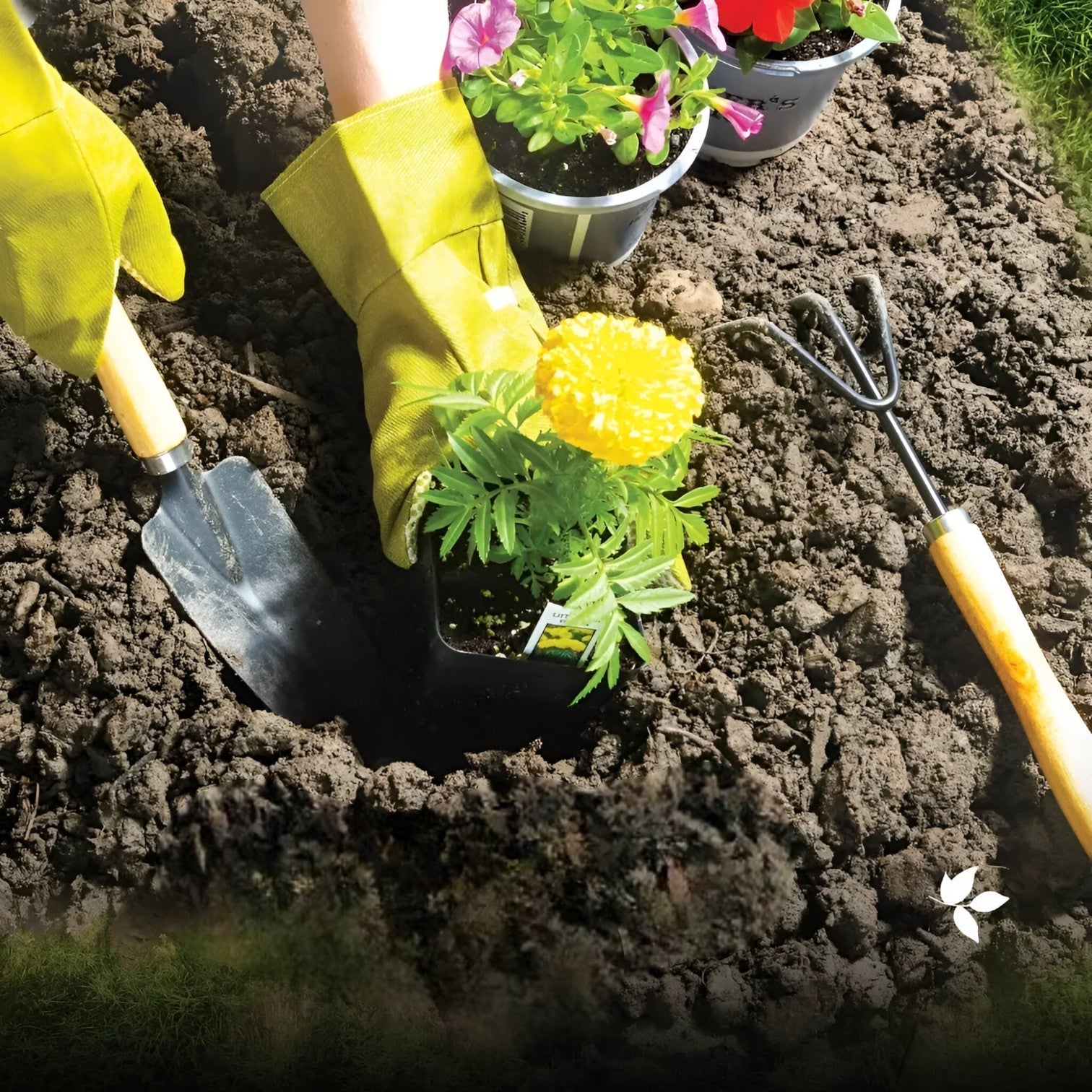 Set Salotto da Giardino Angolare Grigio in Rattan Sintetico con Divano e Tavolino, Resistente Intemperie - - confortevole efficiente Garden Garden supplies giardinaggio giardino giardino tutto Home & Garden tutto - Concept Palermo