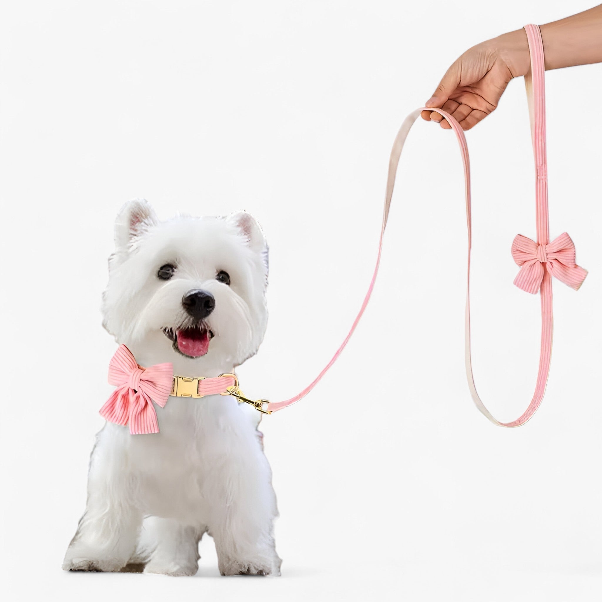 Set Collare e Guinzaglio Rosa Chiaro per Cani Piccoli e Medi - - cani chiaro collare collare guinzaglio guinzaglio medi pets & supplies piccoli - Concept Palermo