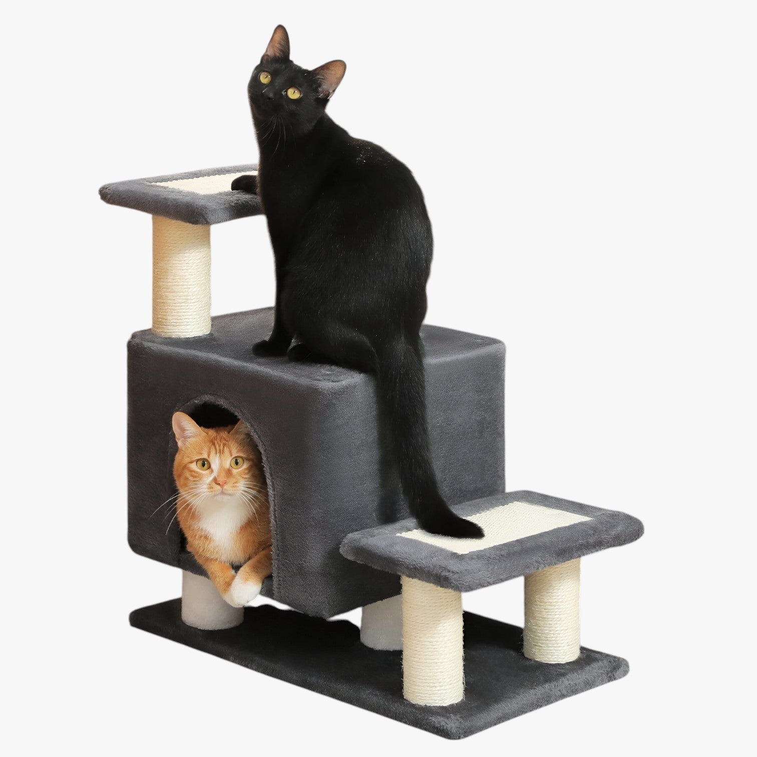 Scala Multifunzione a 3 Strati per Animali Domestici per Comfort, Gioco e Luogo di Riposo Uomo - - animali animali domestici comfort domestici gioco luogo multifunzione pets & supplies riposo - Concept Palermo