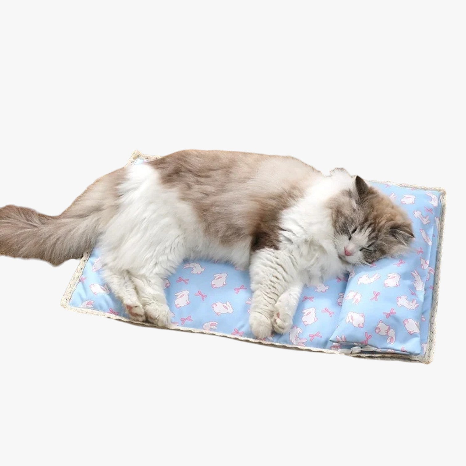 Coperta Estiva Rinfrescante per Gatti e Cani Uomo - - cani coperta coperta estiva estiva gatti pet pet bed pet beds pet's bed petproduct pets & supplies rinfrescante uomo - Concept Palermo