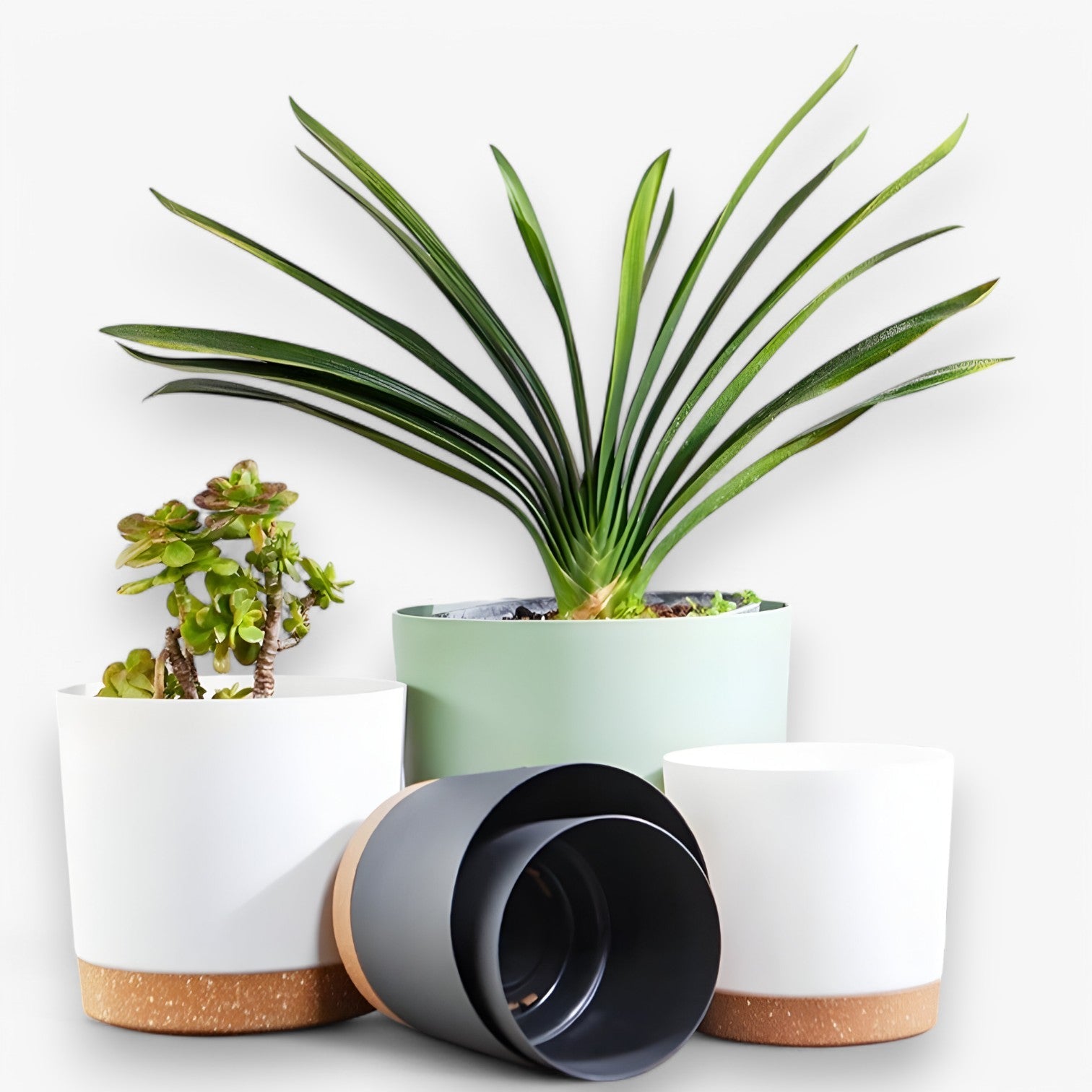 Vaso di fiori in plastica - con drenaggio per una crescita sana - - crescita drenaggio fiori Garden Garden supplies Home & Garden plastica sana vaso vaso fiori - Concept Palermo