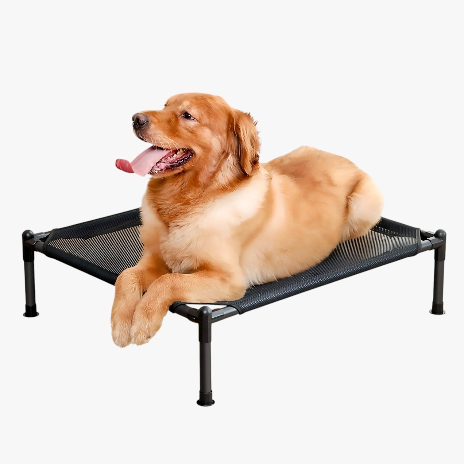 Letto portatile per animali domestici da esterno, pieghevole, lavabile e comodo da portare in viaggio - - animali domestici esterno lavabile letto letto portatile pet pet beds PET SUPPLIES petproduct Pets pets & supplies pieghevole - Concept Palermo